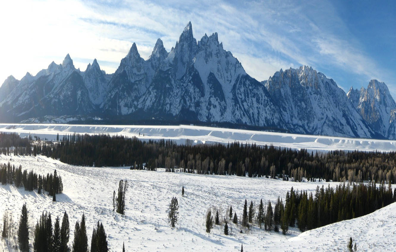 Grand Teton National Park, trees, winter, HD Desktop Wallpaper