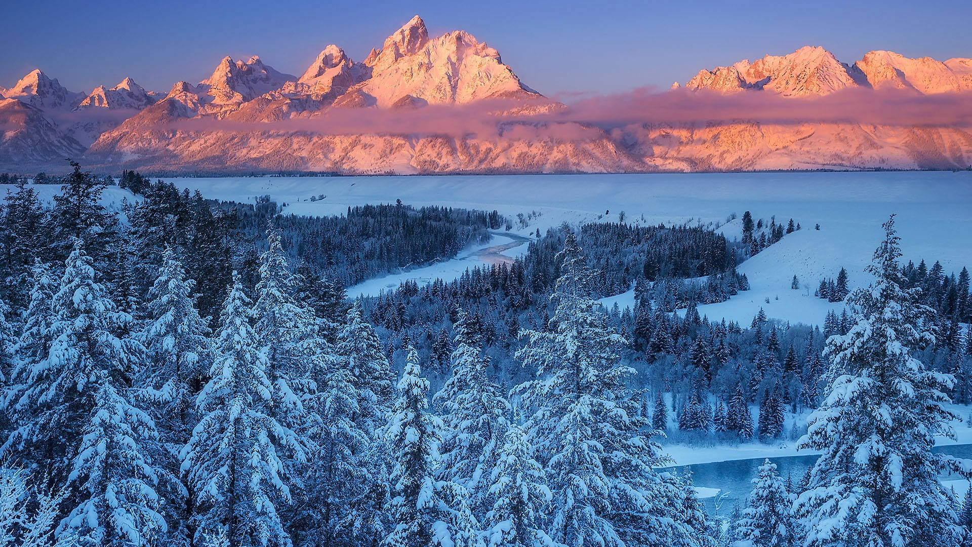 Grand Teton National Park, pine trees, snowcapped mountains, Full HD Desktop Wallpaper