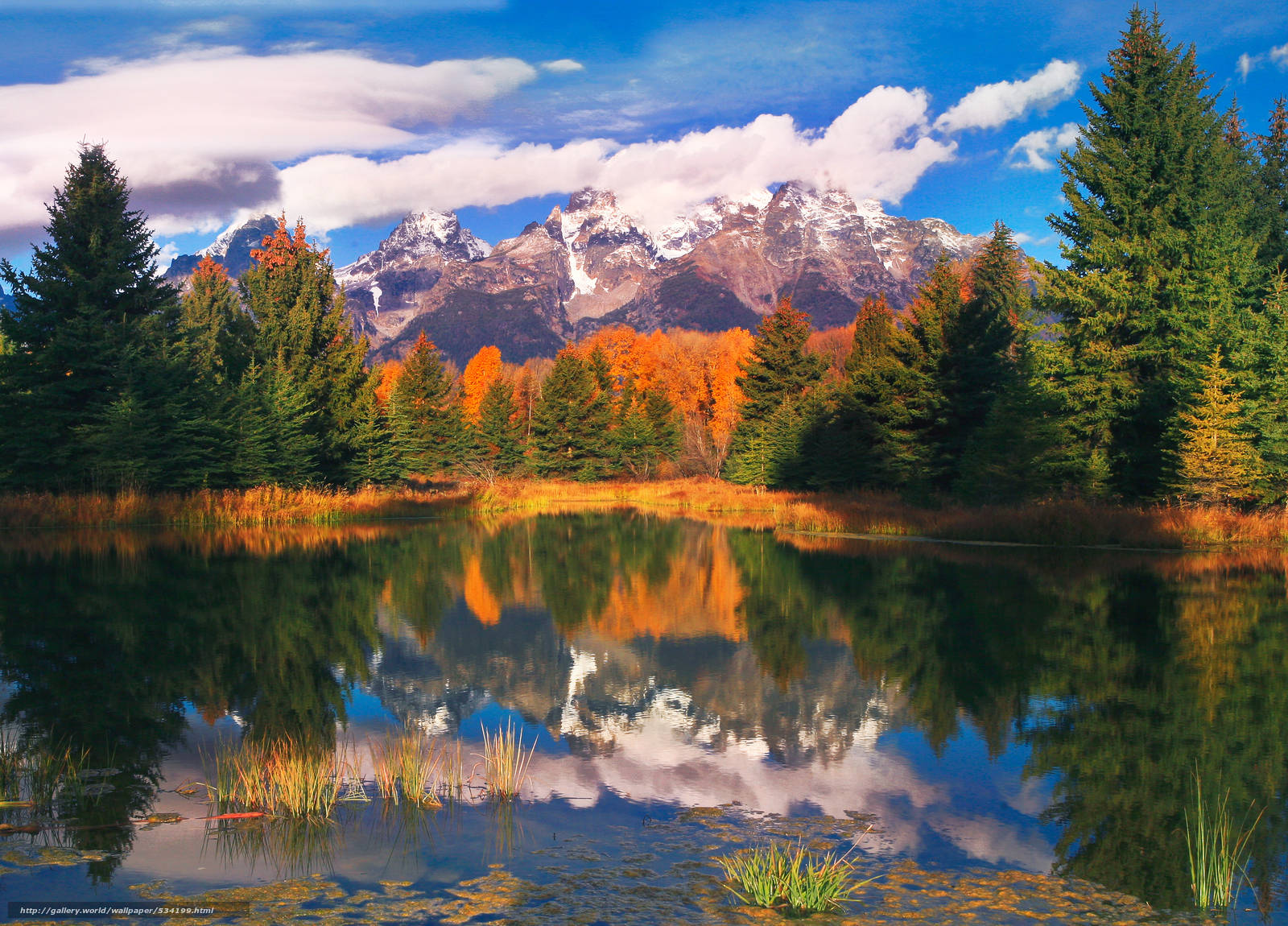 Grand Teton National Park, autumn trees, snow-capped mountains, HD Desktop Wallpaper