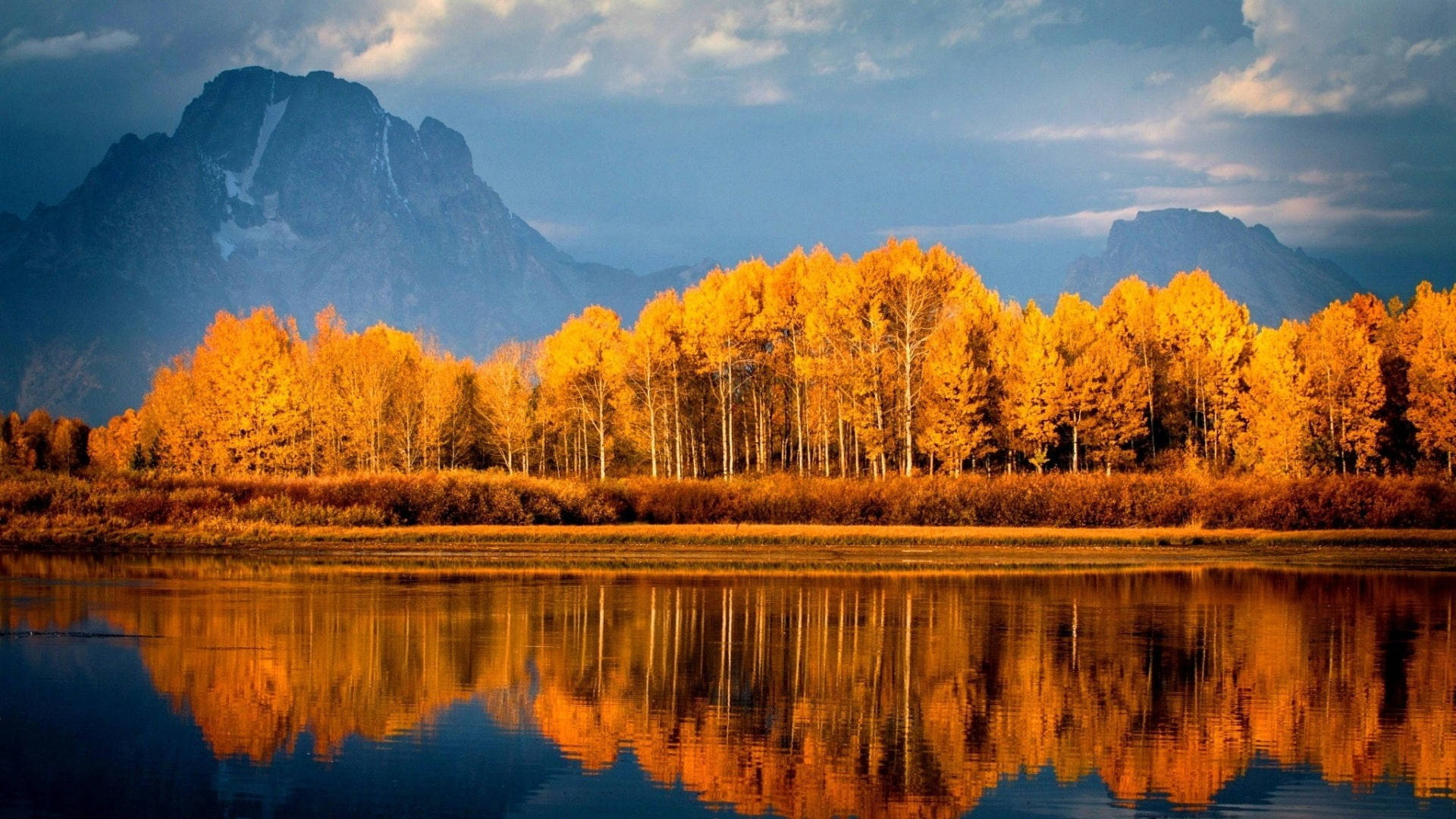 Grand Teton Park, autumn, golden aspen trees, Full HD Desktop Wallpaper