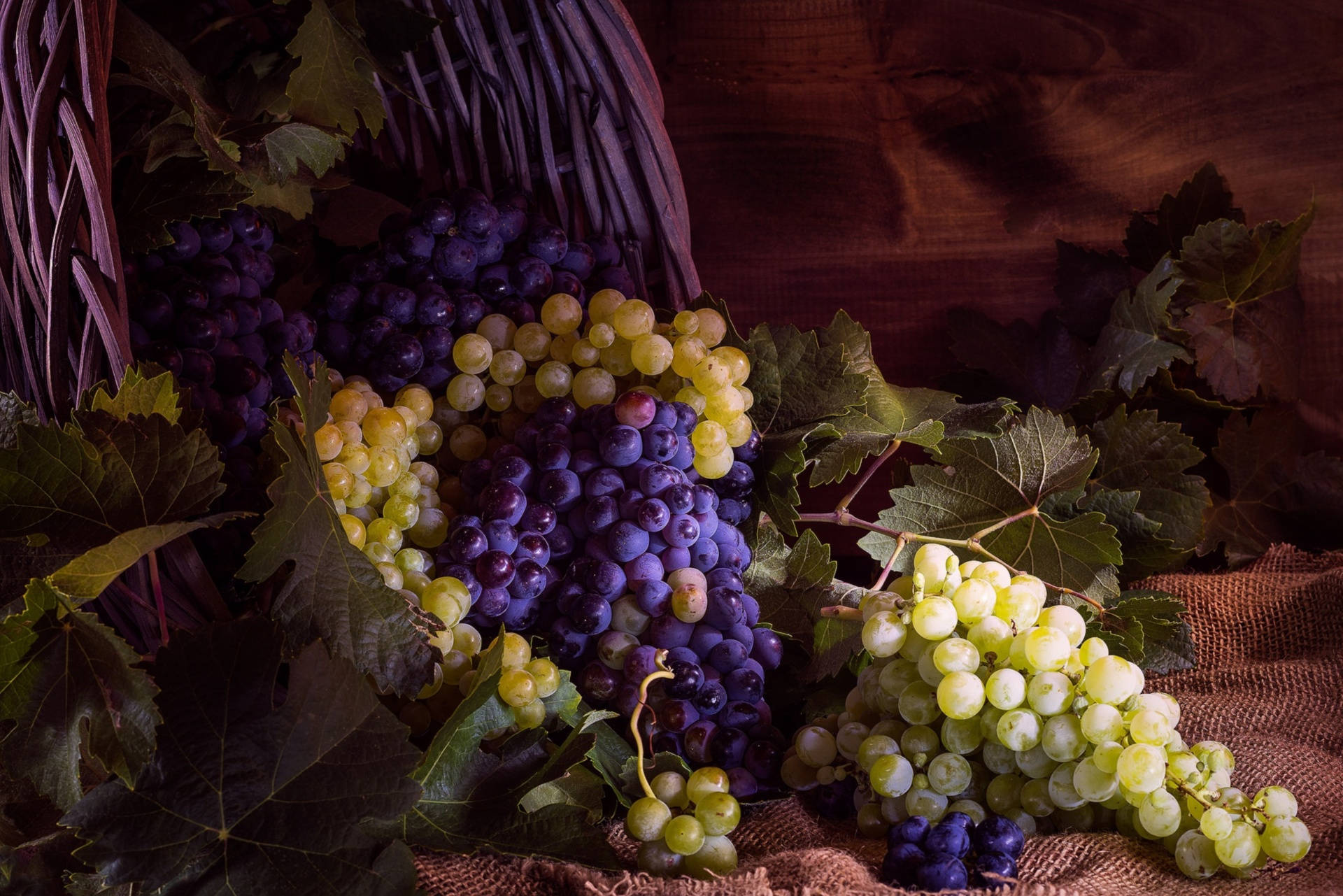 vintage grape photography, purple grapes, green grapes, Full HD Desktop Wallpaper