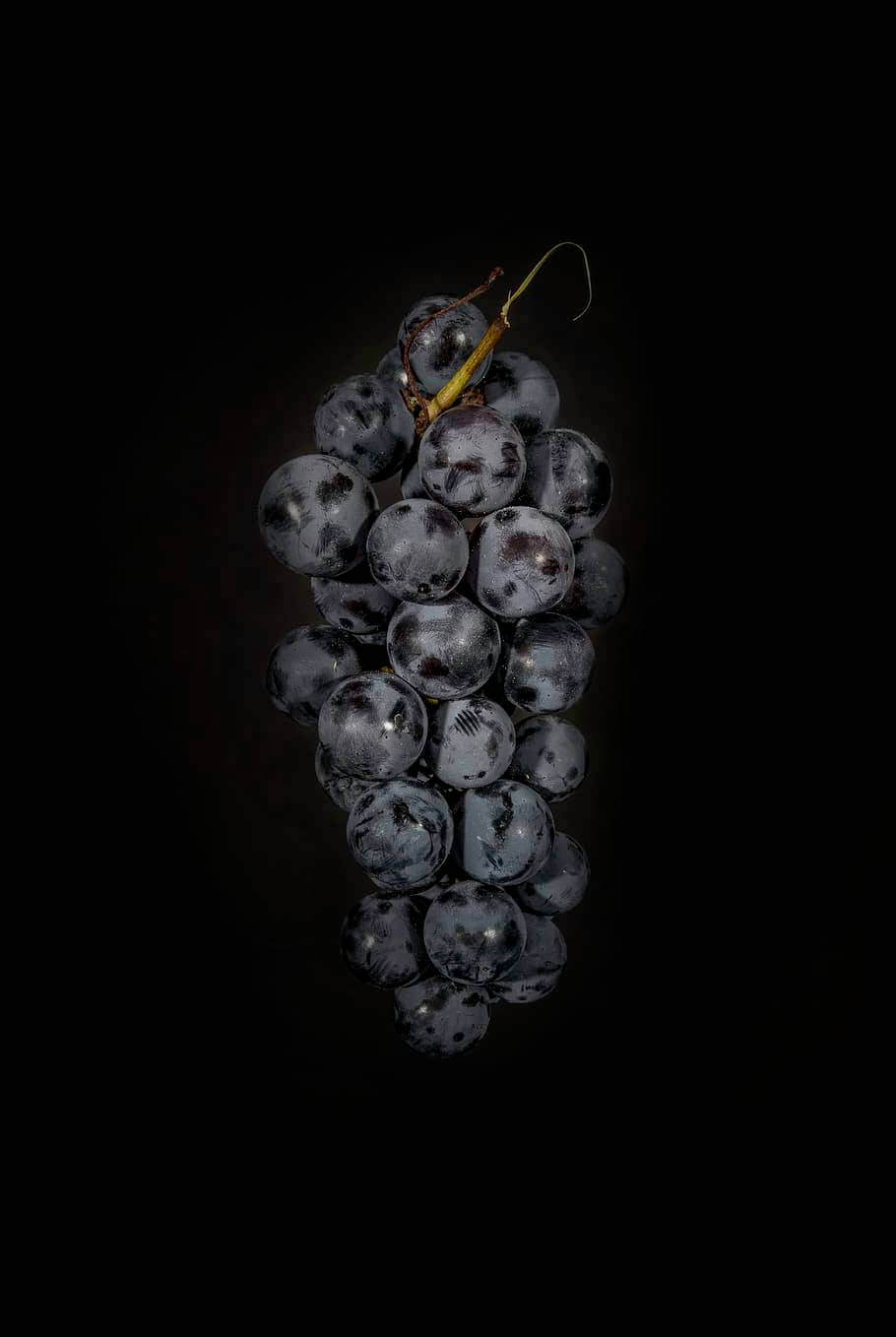 dark purple grapes, white bloom, pure black background, HD Phone Wallpaper