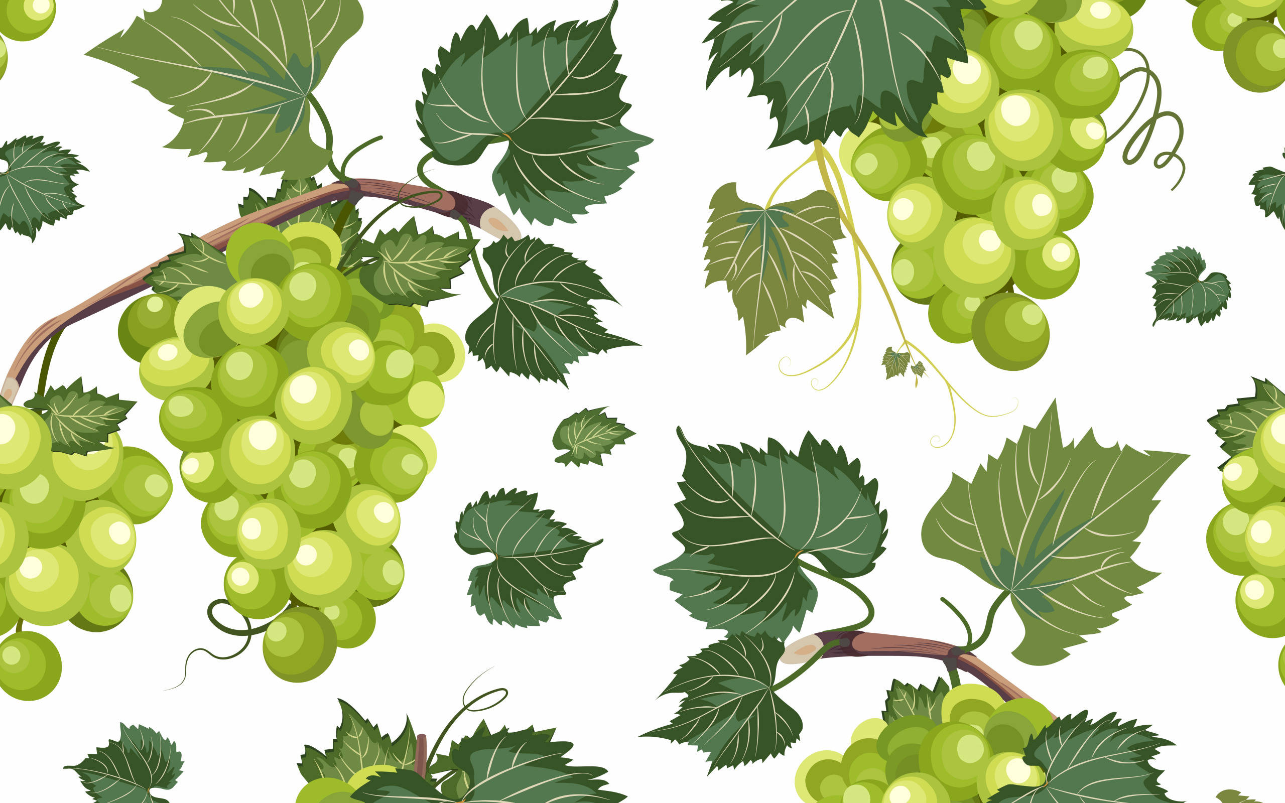 green grape, mural art, vibrant green, 2K Desktop Wallpaper