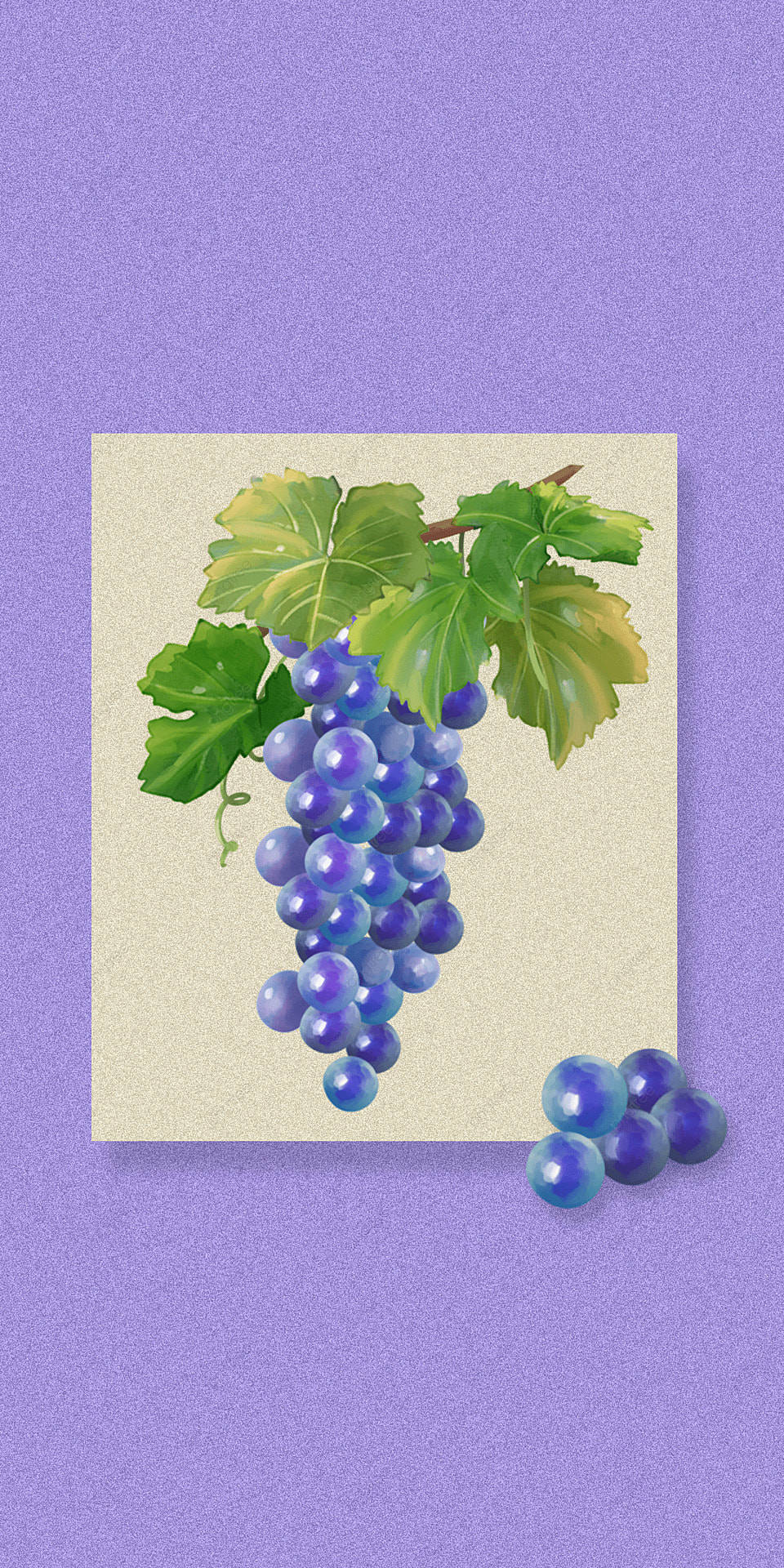 grapevine cluster, glossy purple grapes, green leaves, Full HD Phone Wallpaper