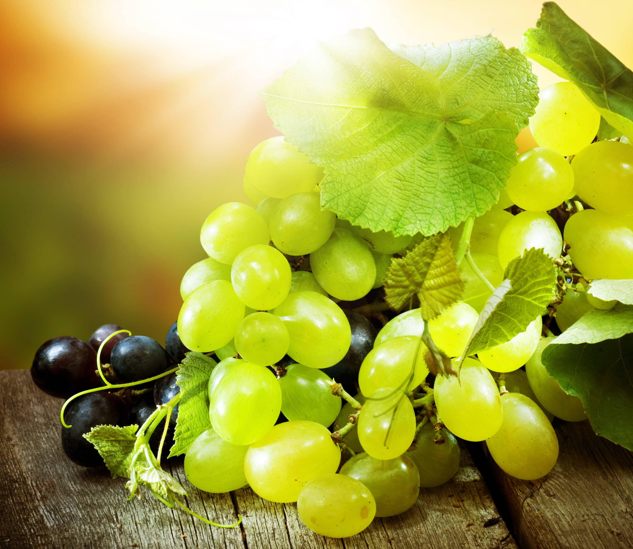 green grape, black grapes, leaves, Full HD Desktop Wallpaper