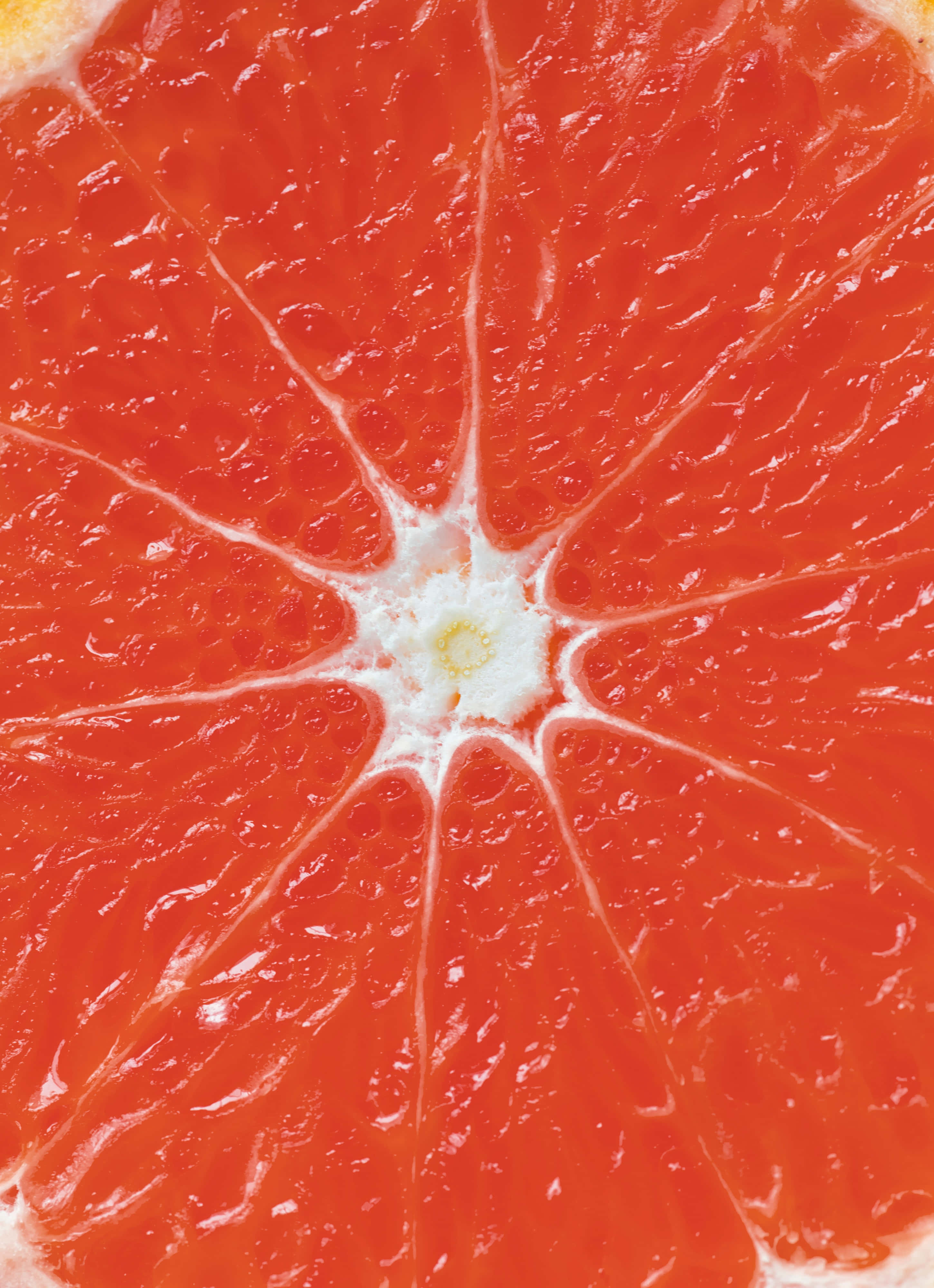 pink grapefruit, juicy red segments, white center, 4K Phone Wallpaper