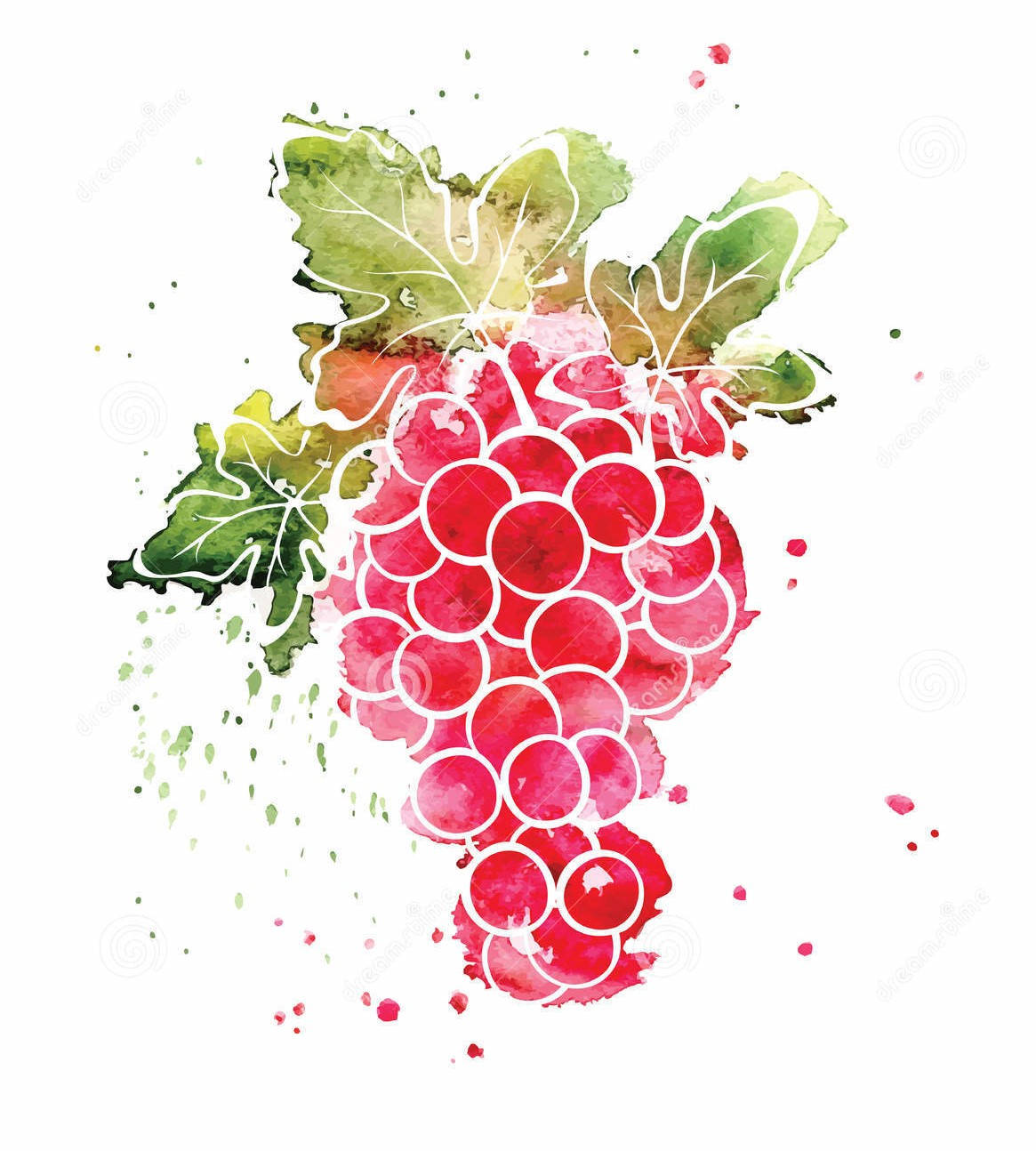 red grape cluster, green leaves, watercolor illustration, HD Phone Wallpaper