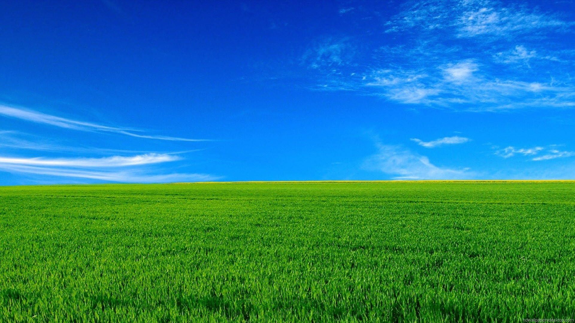 1920x1080, full HD, nature, Full HD Desktop Wallpaper
