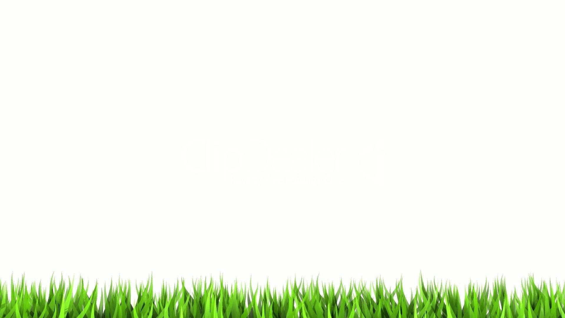 vibrant green grass, stark white background, Full HD Desktop Wallpaper