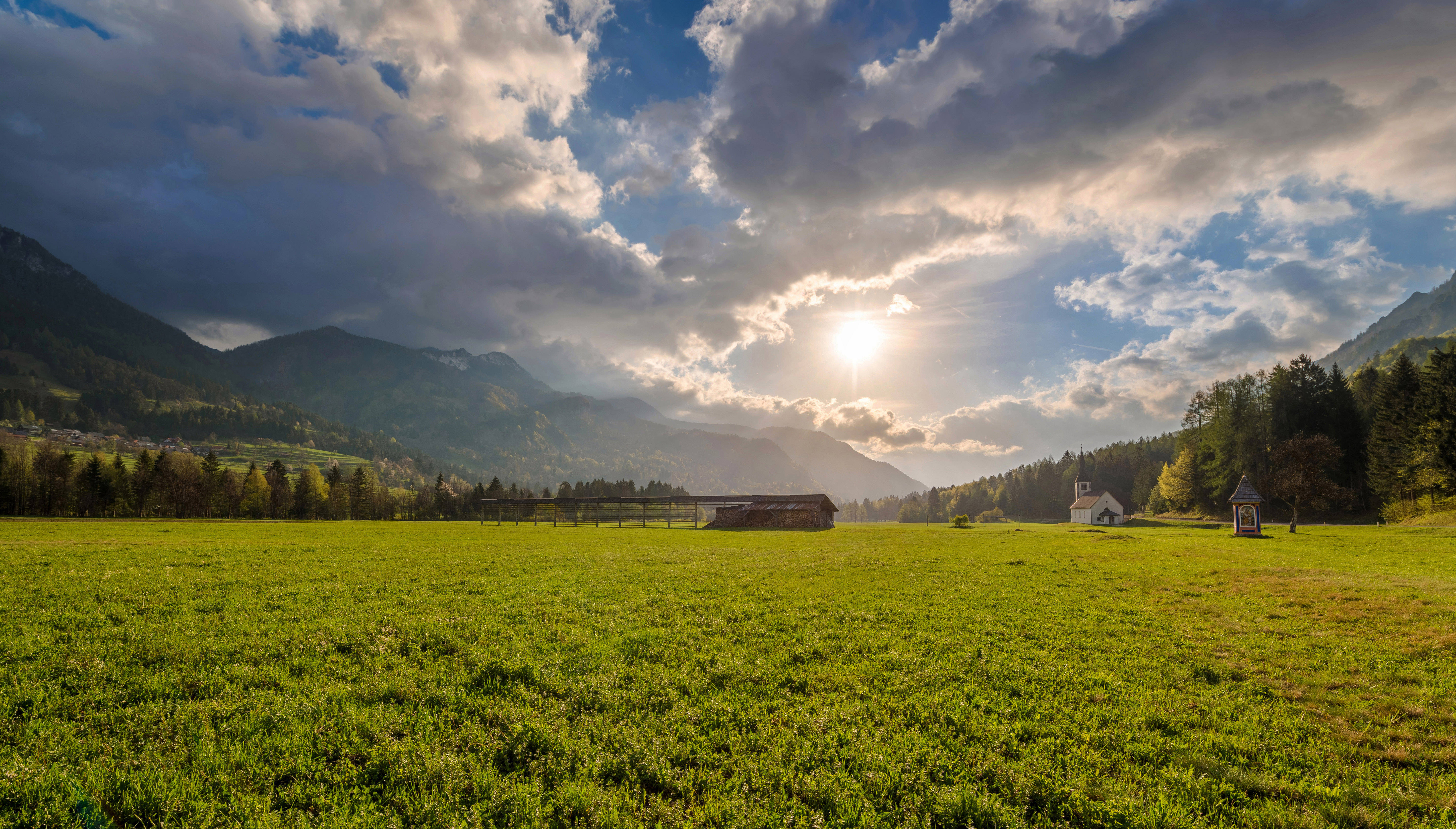 green meadow, sunlight, dramatic clouds, 5K Desktop Wallpaper