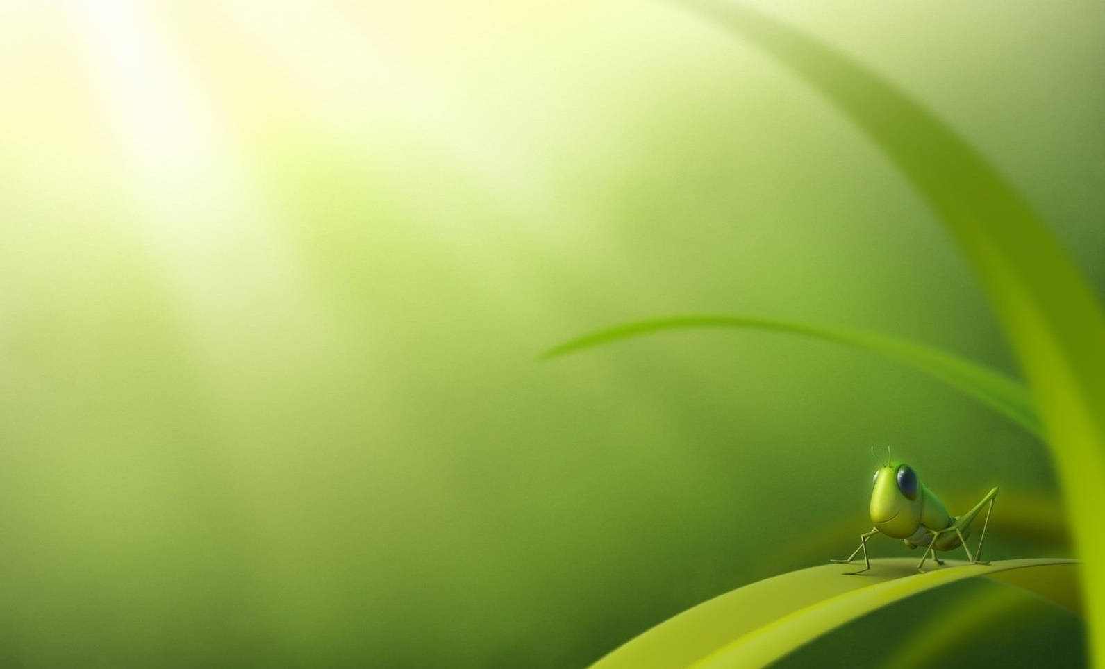 Grasshopper, green grasshopper, sunlit blade of grass, HD Desktop Wallpaper