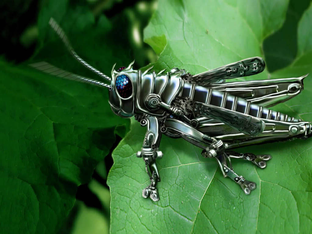 metallic green grasshopper, glowing blue eyes, vibrant green leaf, SD Desktop Wallpaper