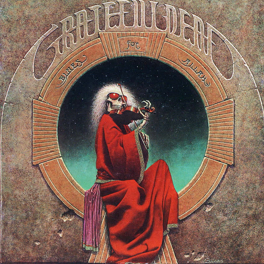 Grateful Dead, skeleton, red robe, SD Desktop Wallpaper
