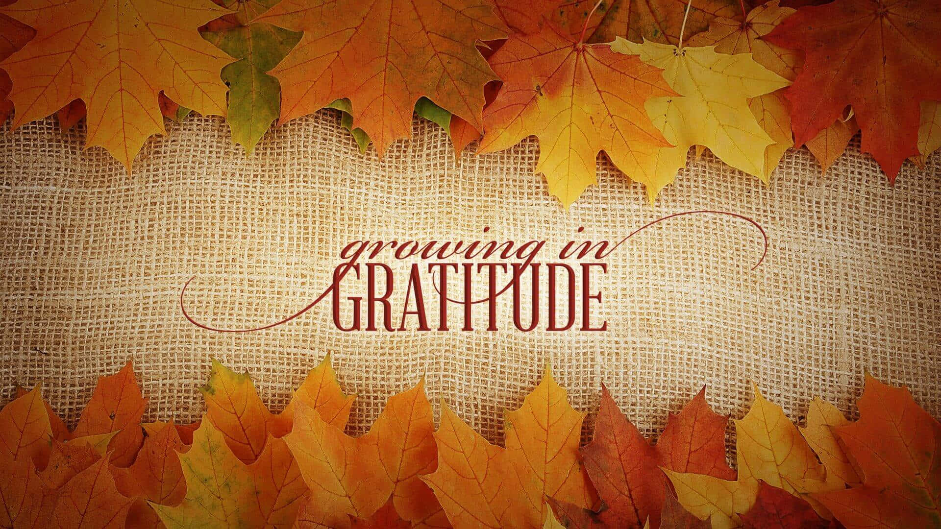 autumn, maple leaves, burlap background, Full HD Desktop Wallpaper