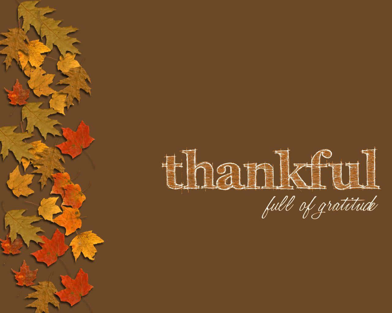 Thankful, Gratitude, Fall, HD Desktop Wallpaper