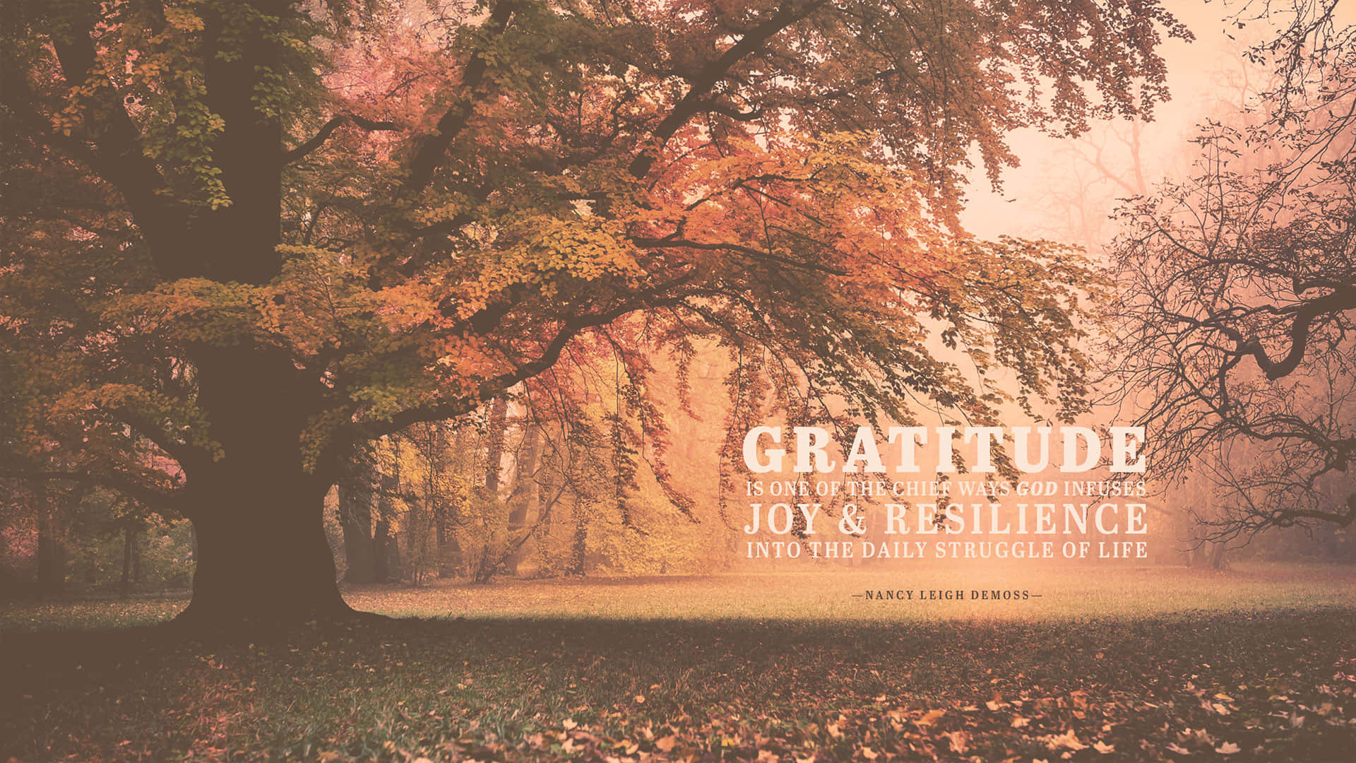 Gratitude Forest Misty, autumn tree, fiery orange leaves, Full HD Desktop Wallpaper