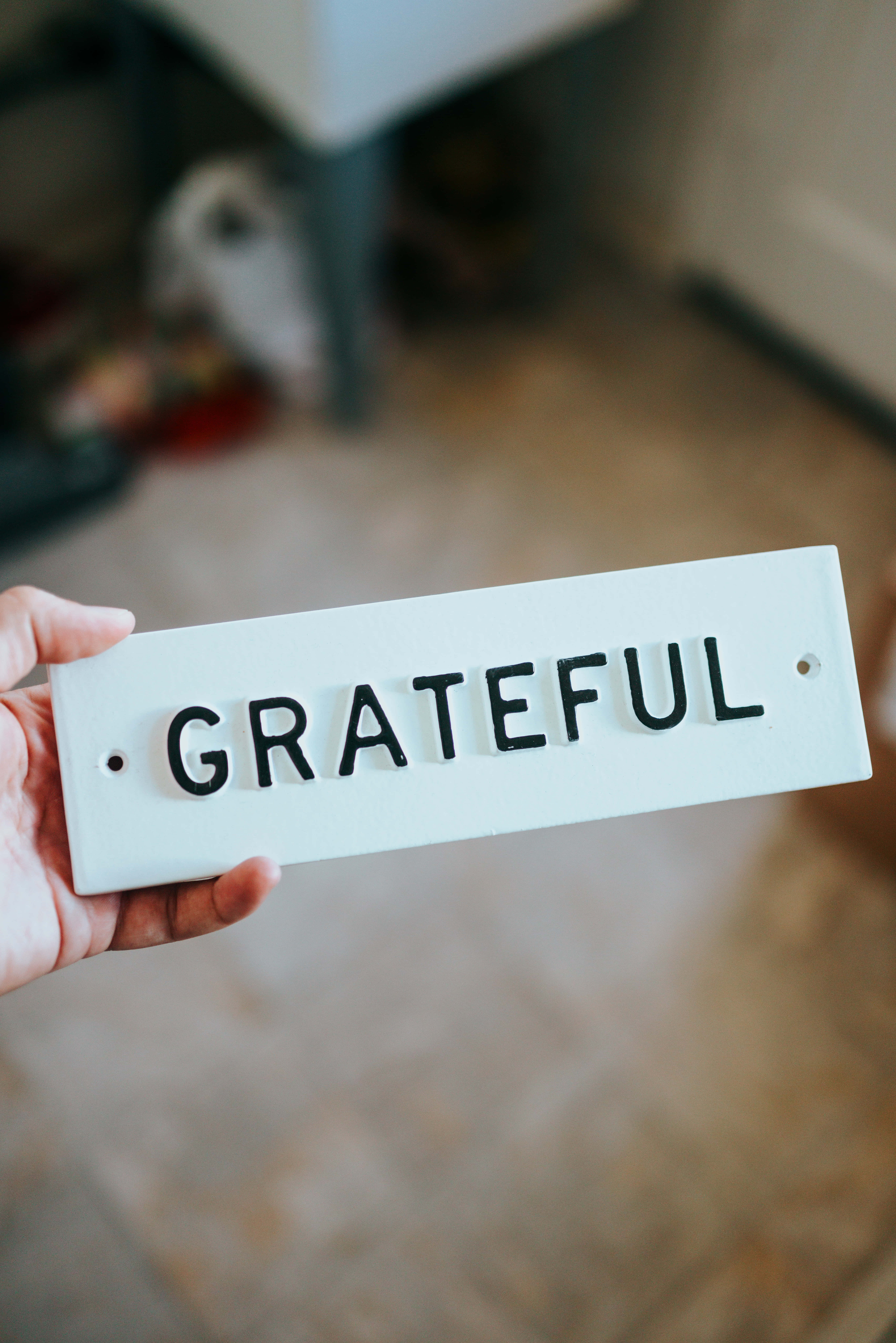 Gratitude Sign, white, rectangular sign, 8K Phone Wallpaper