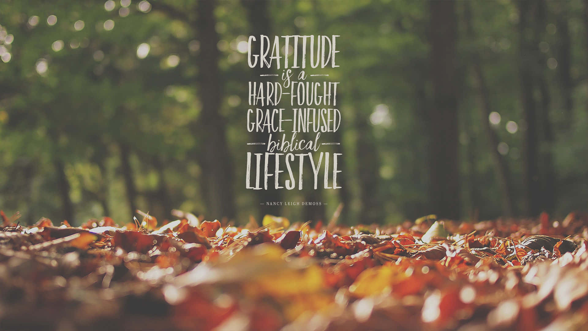 Fall leaves, sunlit forest floor, elegant white text, Full HD Desktop Wallpaper