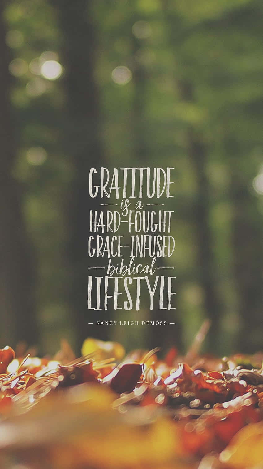 Gratitude, lifestyle, forest, HD Phone Wallpaper