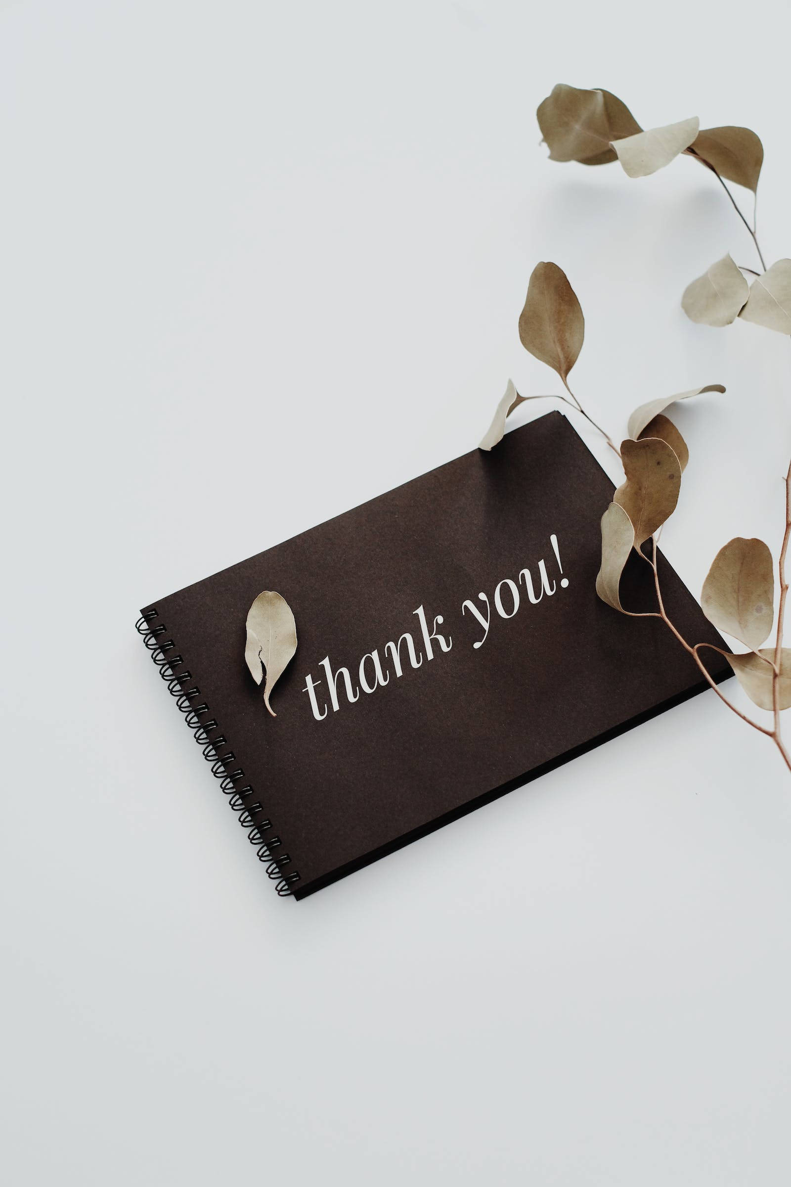 dark brown spiral notebook, thank you! in white script, white surface, Full HD Phone Wallpaper