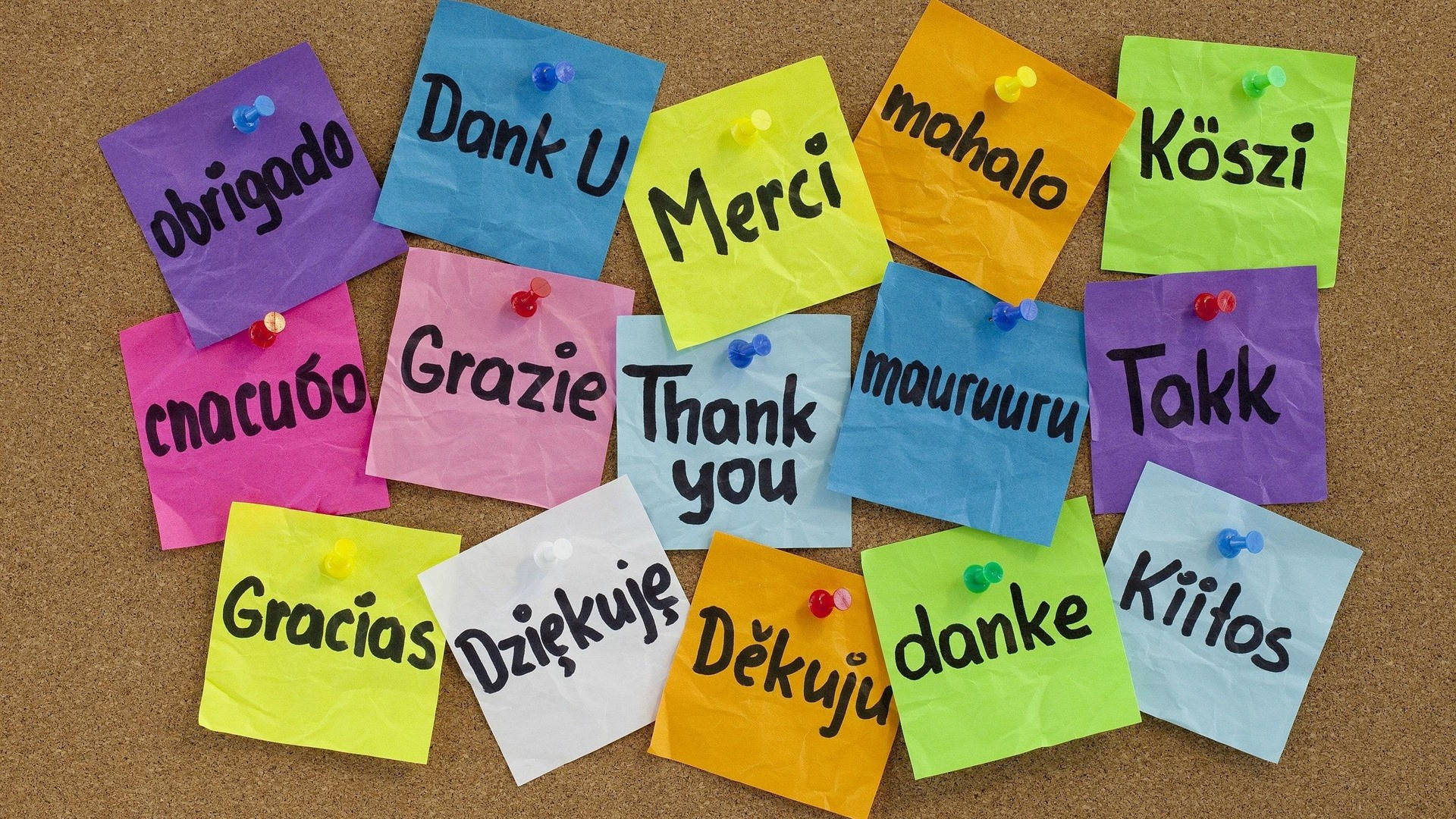 corkboard, sticky notes, thank you messages, Full HD Desktop Wallpaper