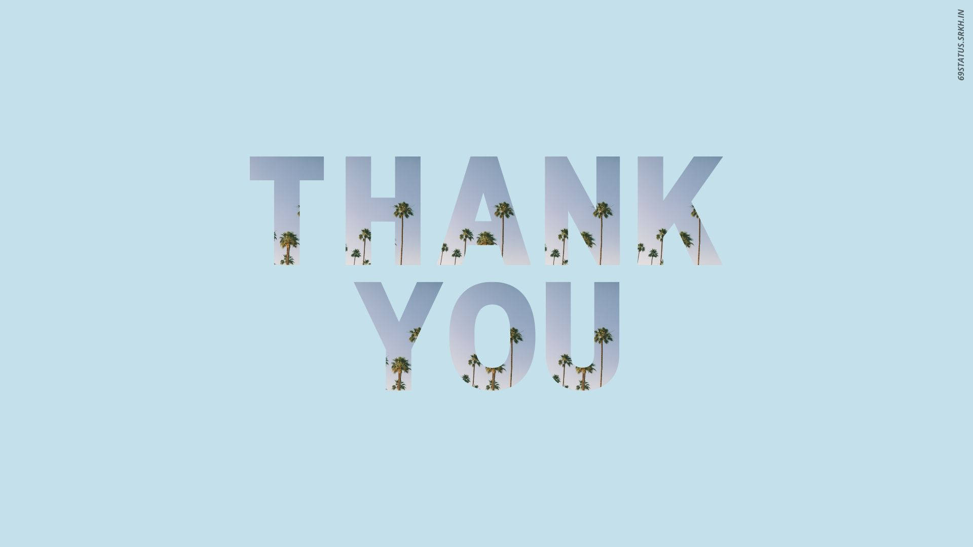 THANK YOU, palm tree silhouettes, soft blue sky, Full HD Desktop Wallpaper