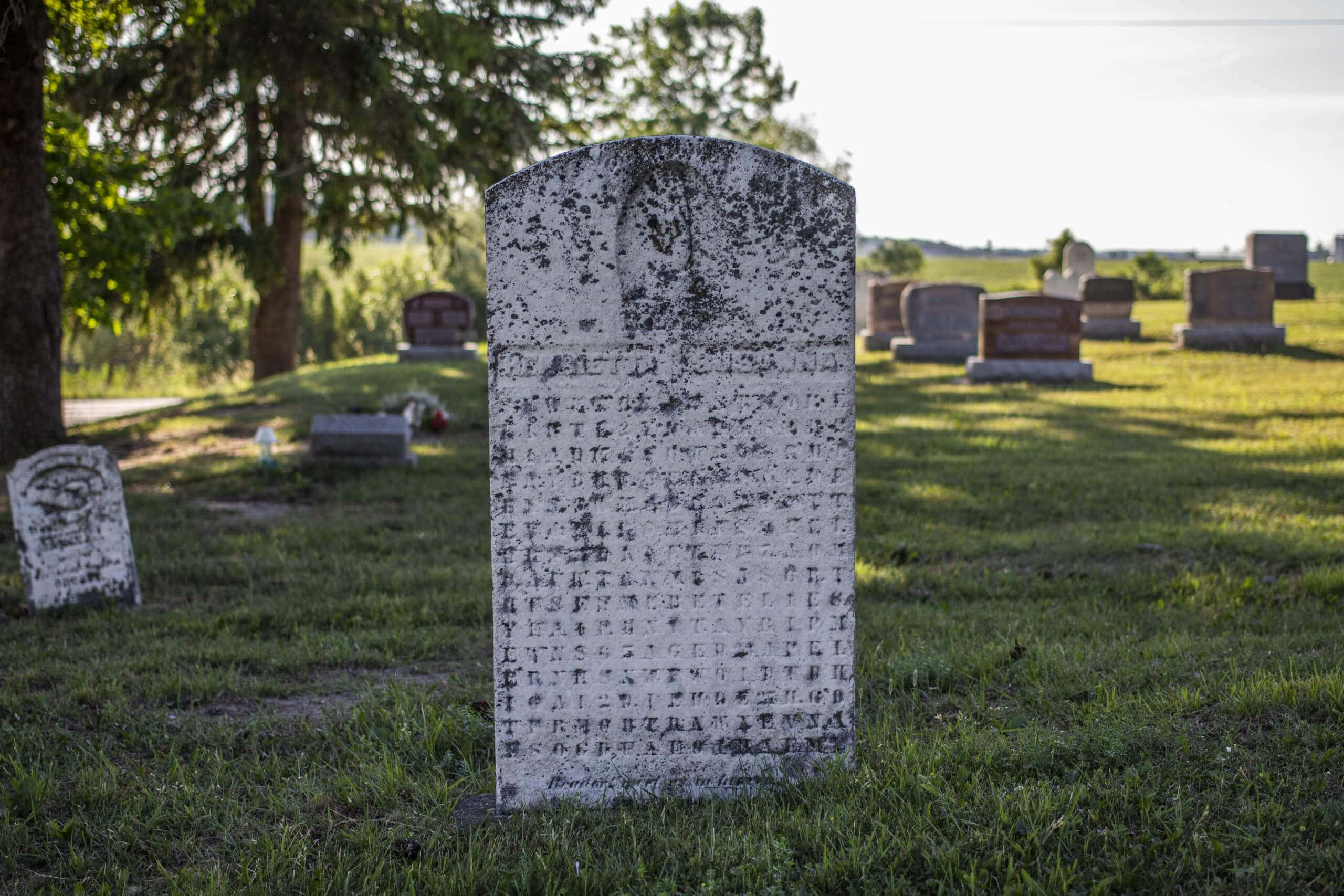 Gravestone, sunlit cemetery, green grass, 2K Desktop Wallpaper