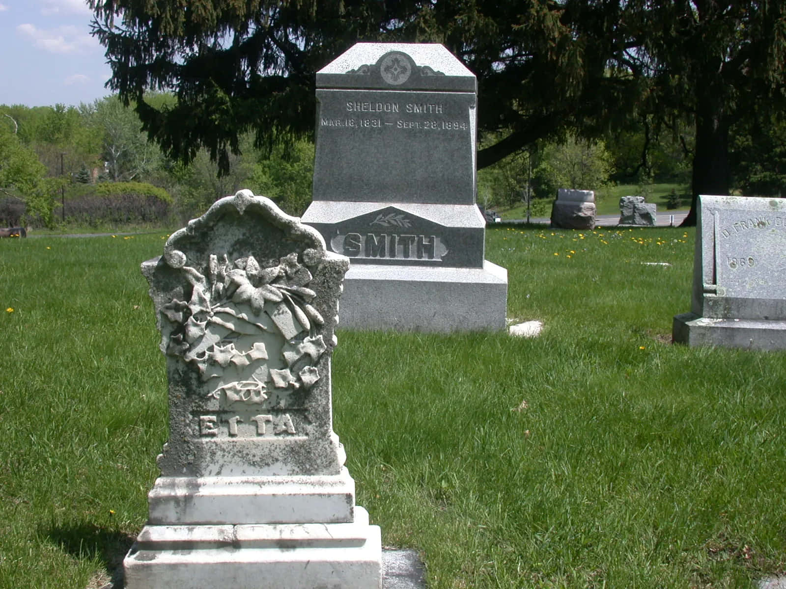 Gravestone, floral carvings, sunlit grassy cemetery, HD Desktop Wallpaper