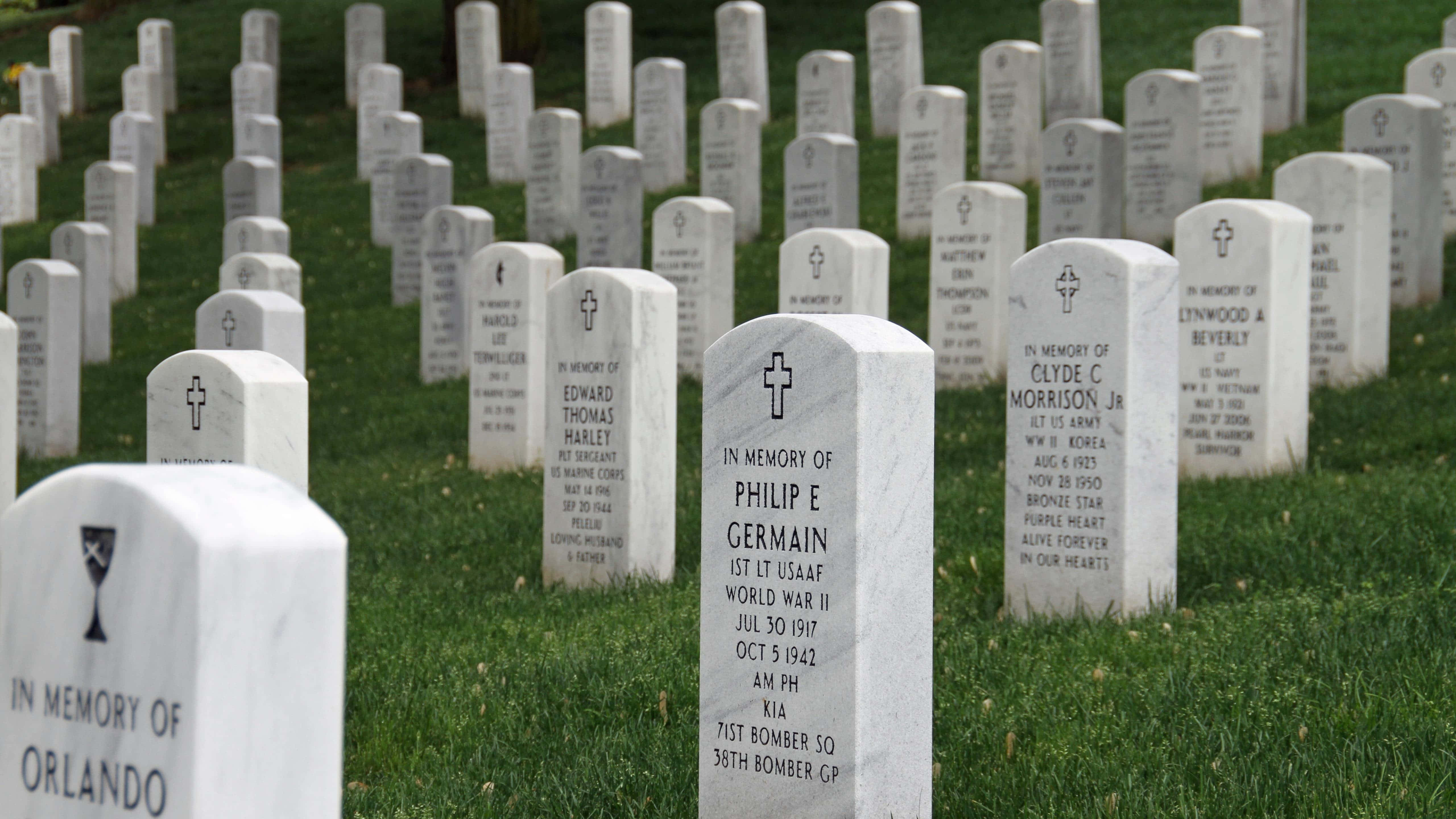 Gravestone, white military headstones, engraved names and dates, 5K Desktop Wallpaper