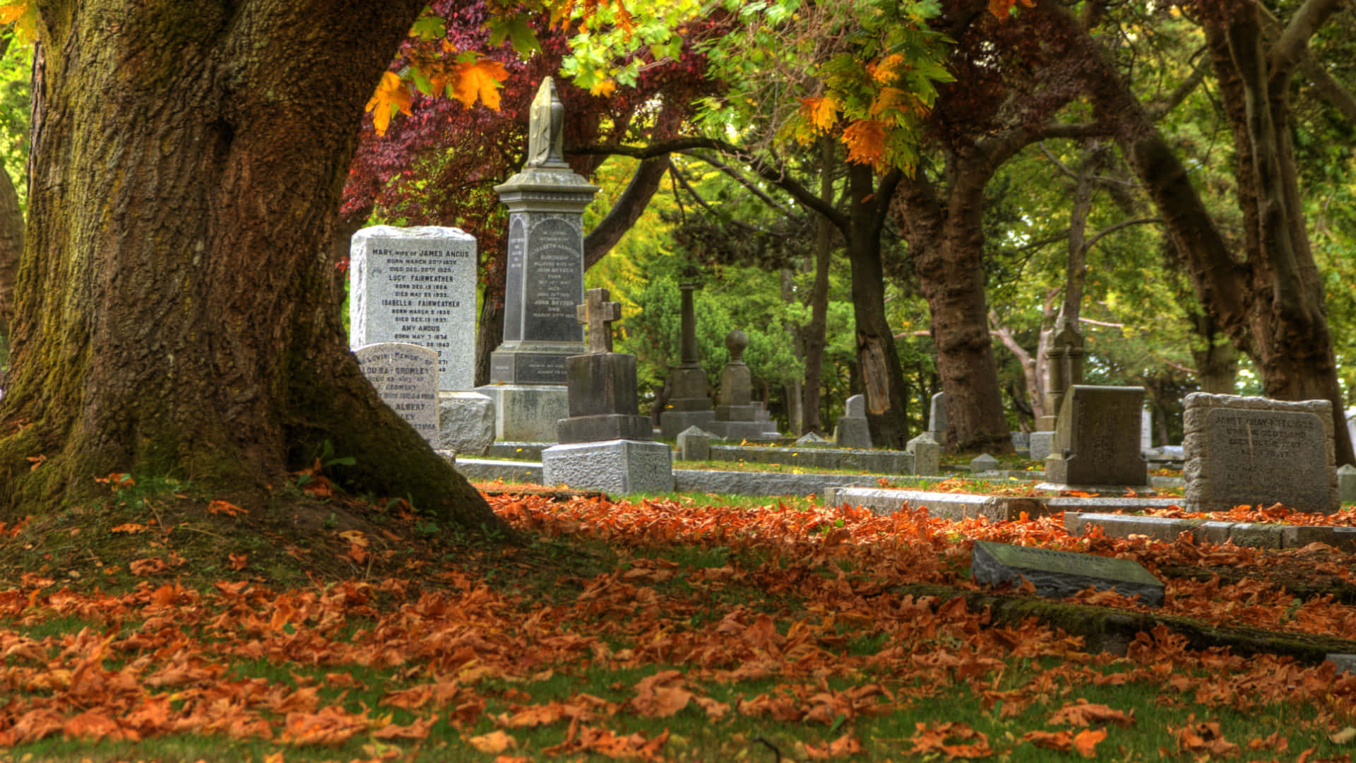 Gravestone, Autumn leaves, Serene cemetery, Full HD Desktop Wallpaper
