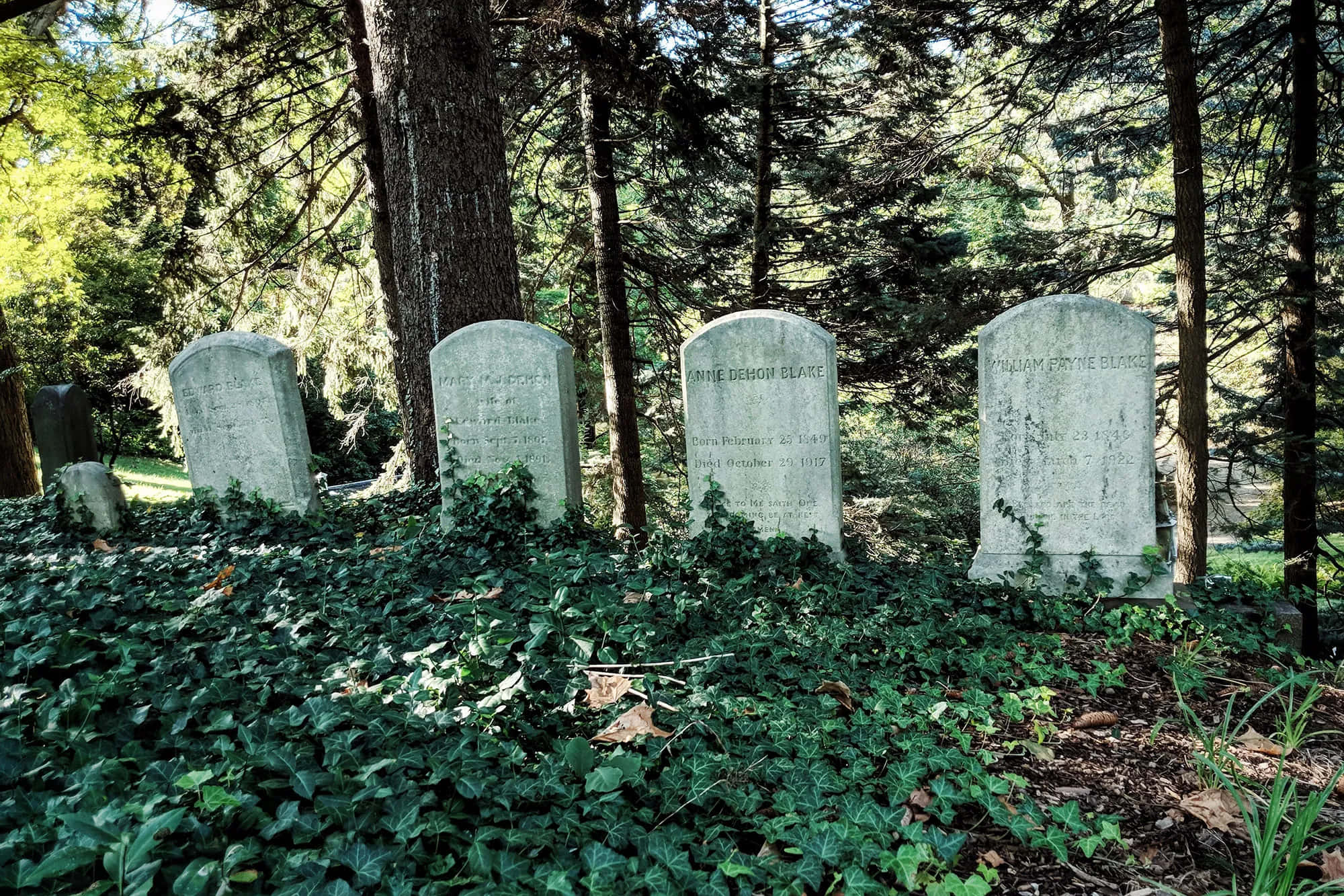 Gravestone, cemetery, forest cemetery, Full HD Desktop Wallpaper