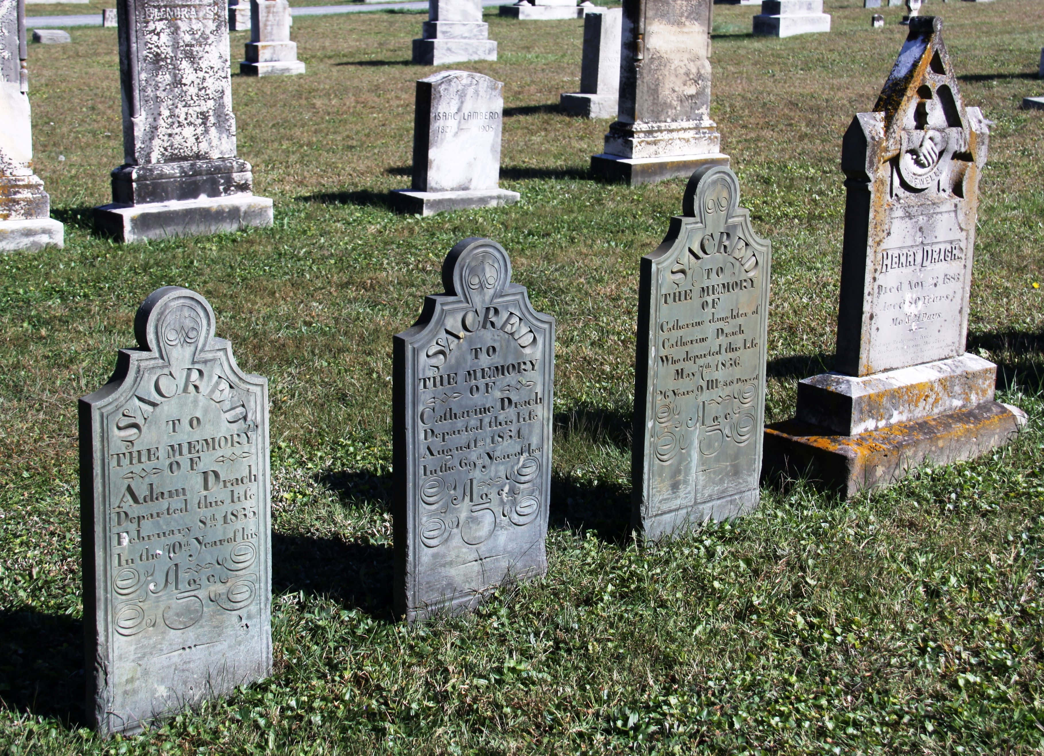 Gravestone, autumn trees, weathered gray headstones, 2K Desktop Wallpaper