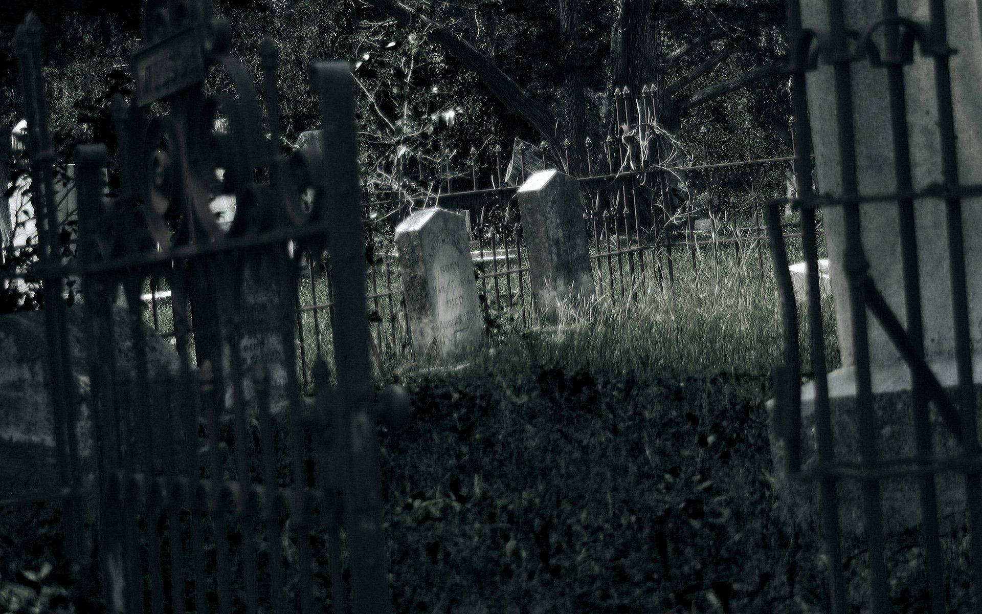 gated graveyard, rusted iron fence, overgrown cemetery, Full HD Desktop Wallpaper