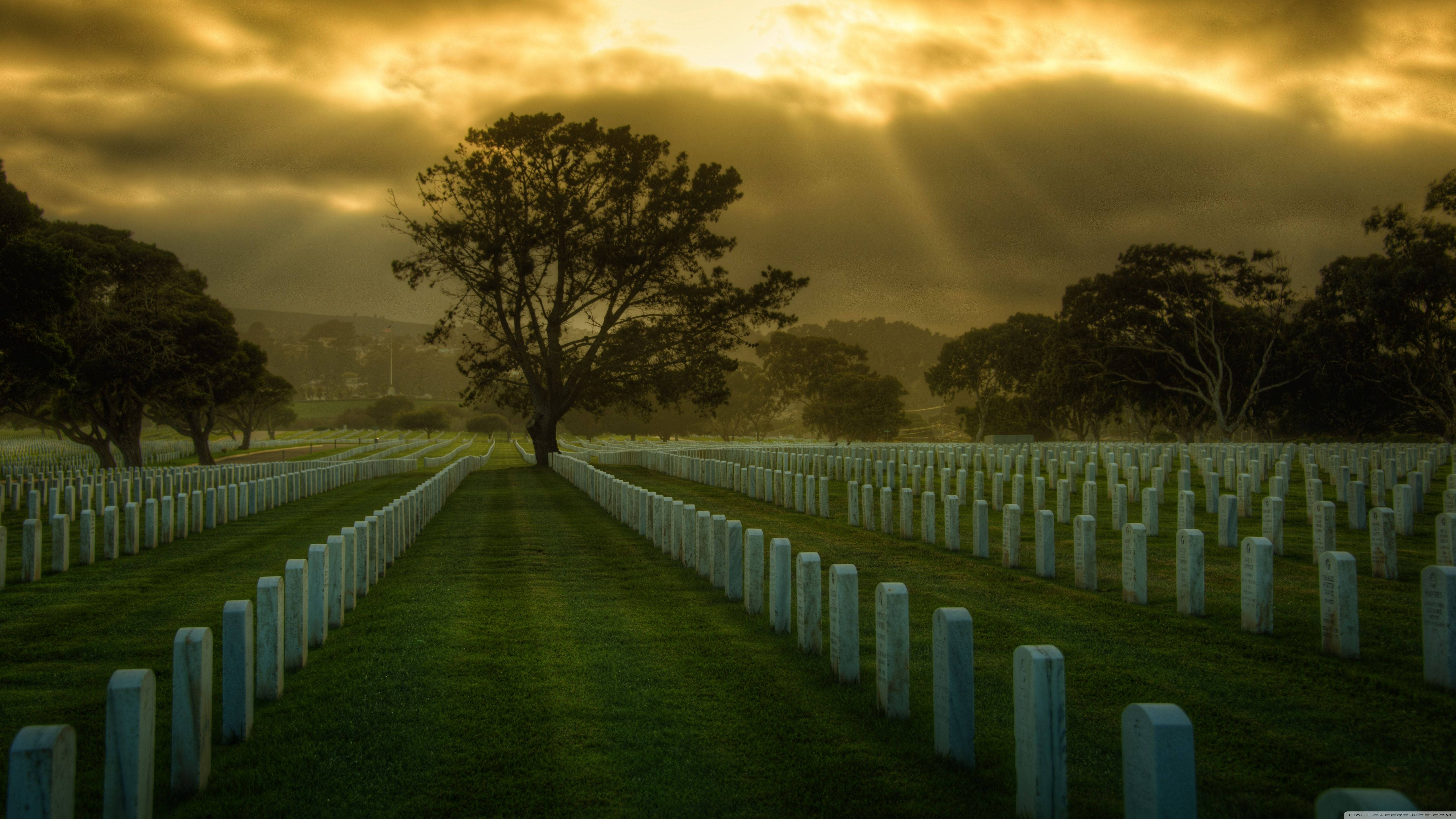 Graveyard, golden hour, golden sunset sky, 5K Desktop Wallpaper