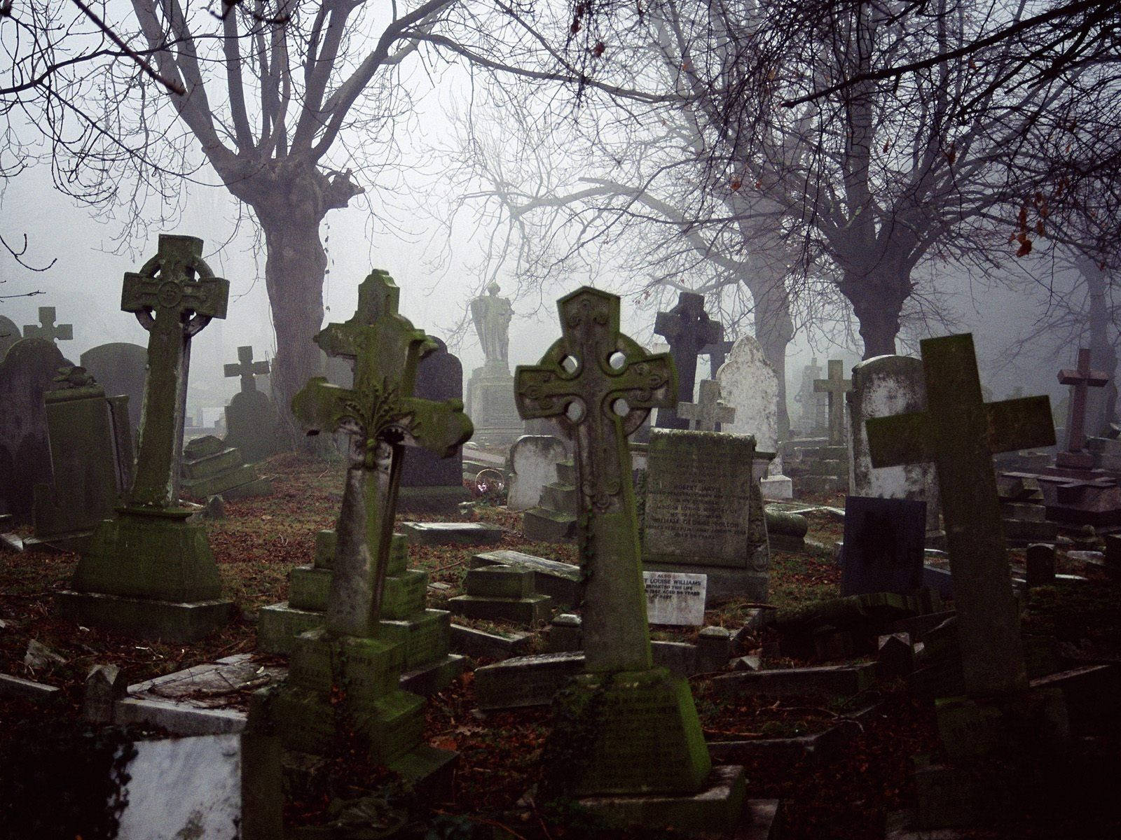 Hazy Graveyard, misty cemetery, mossy Celtic crosses, HD Desktop Wallpaper
