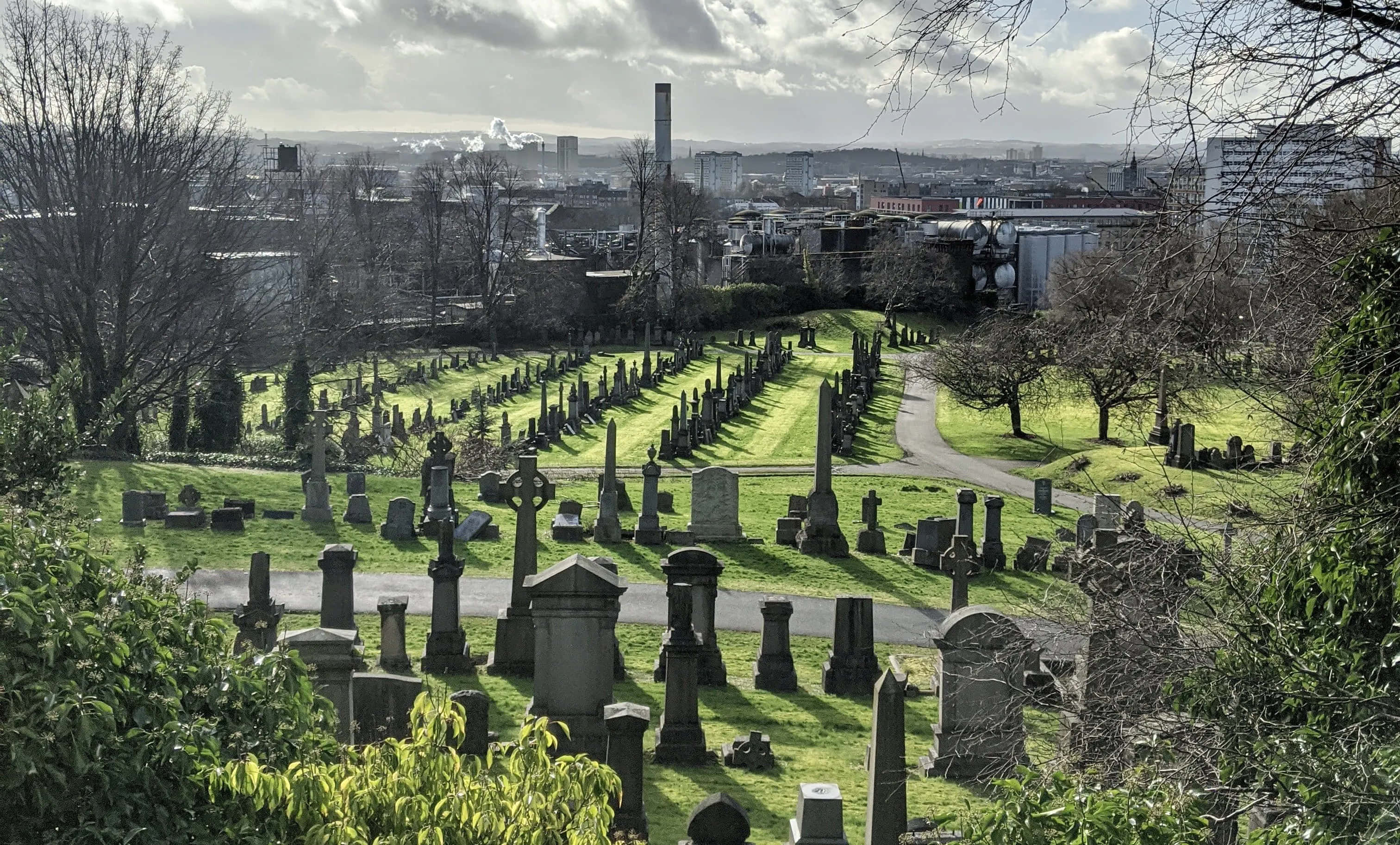 gravestone, cemetery, sunlit, 2K Desktop Wallpaper