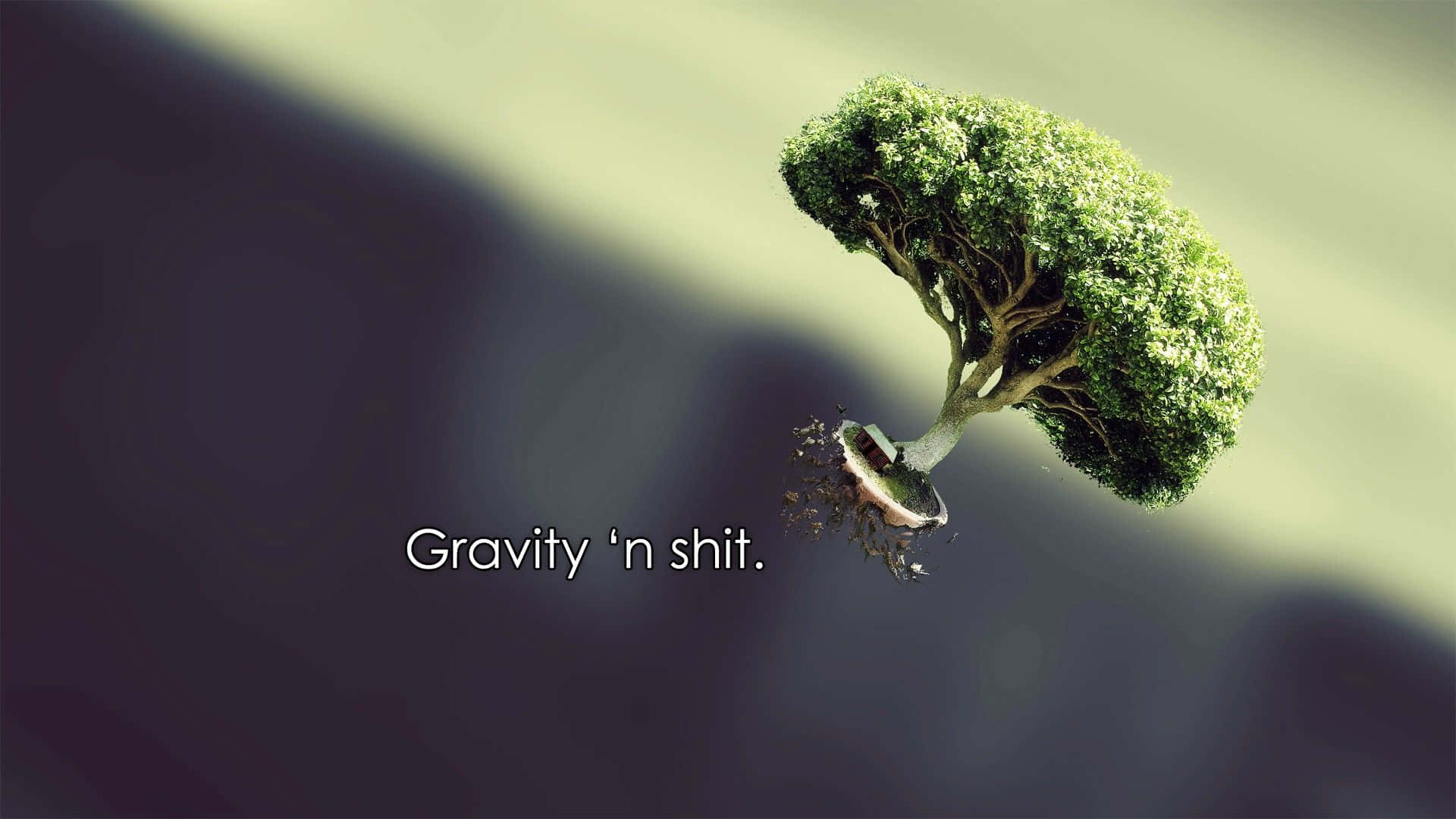 Gravity Falls, lush green tree, defying gravity, Full HD Desktop Wallpaper