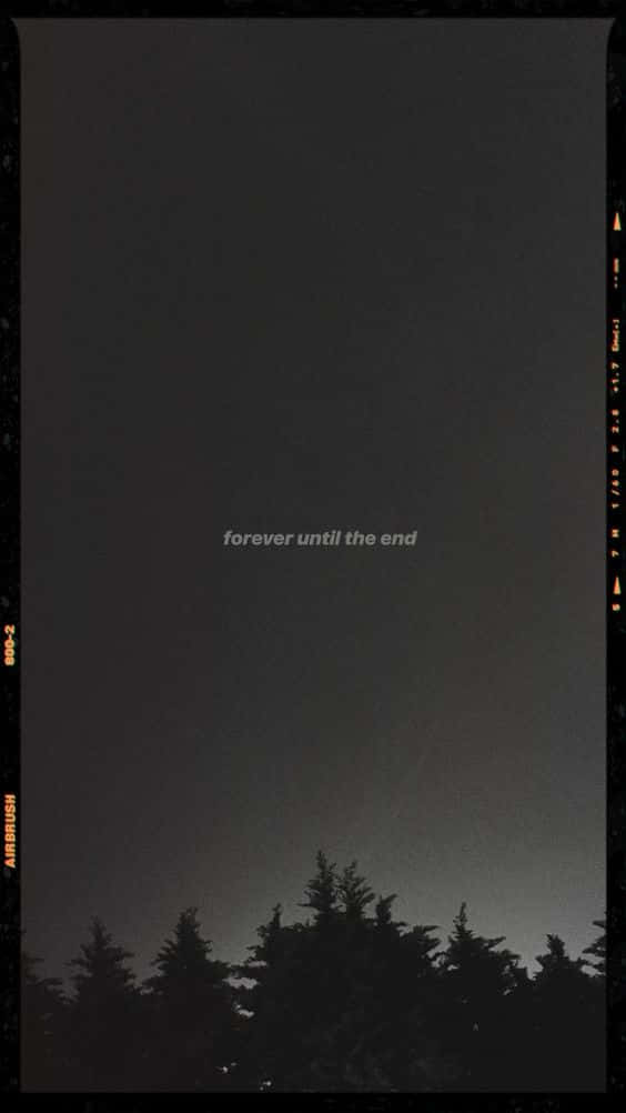 silhouetted pine trees, gradient night sky, faint text reading forever until the end, SD Phone Wallpaper