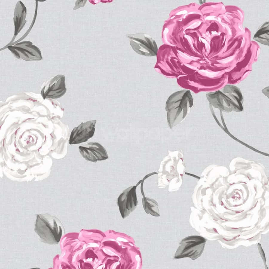 gray and pink, 900 x 900 wallpaper, vibrant pink, SD Desktop Wallpaper