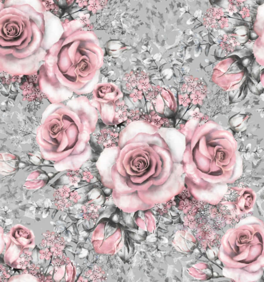 Gray and Pink, soft pink roses, delicate blossoms, SD Phone Wallpaper
