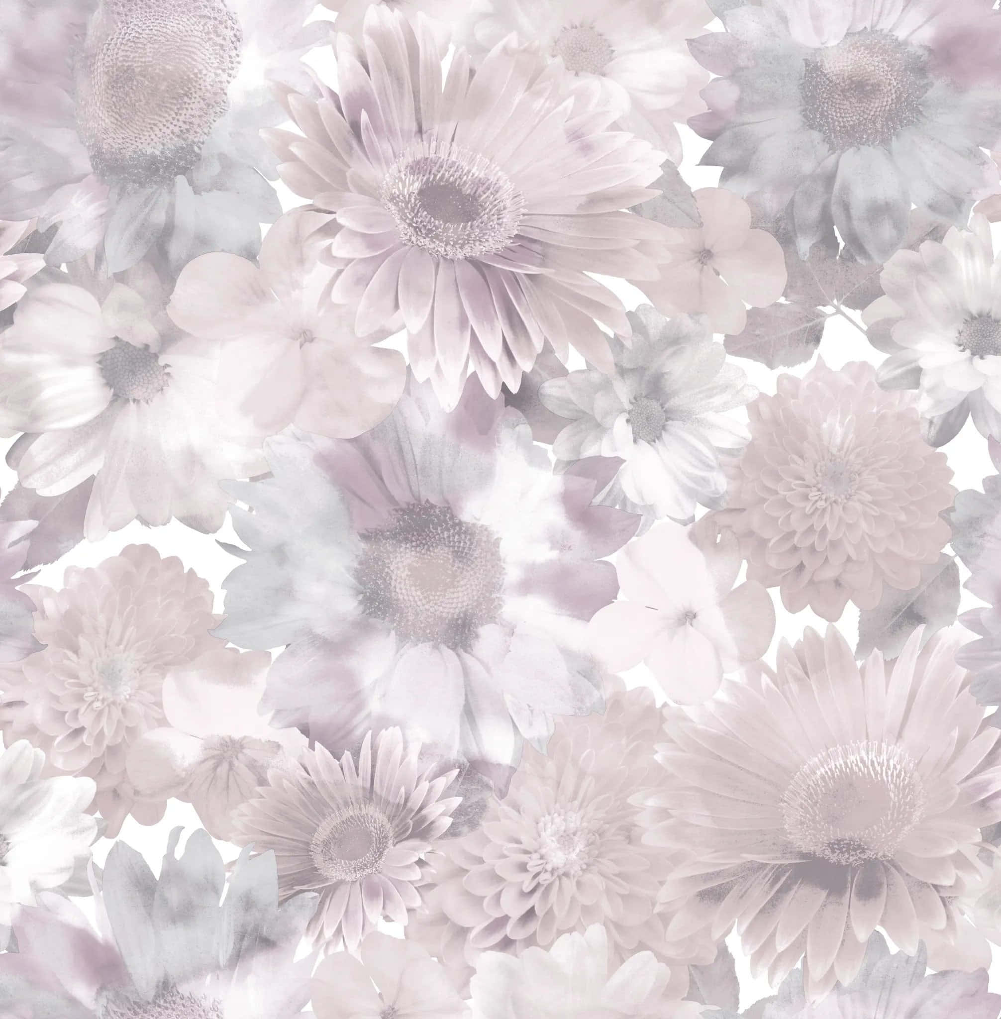gray and pink, pastel lavender, white daisies, Full HD Phone Wallpaper