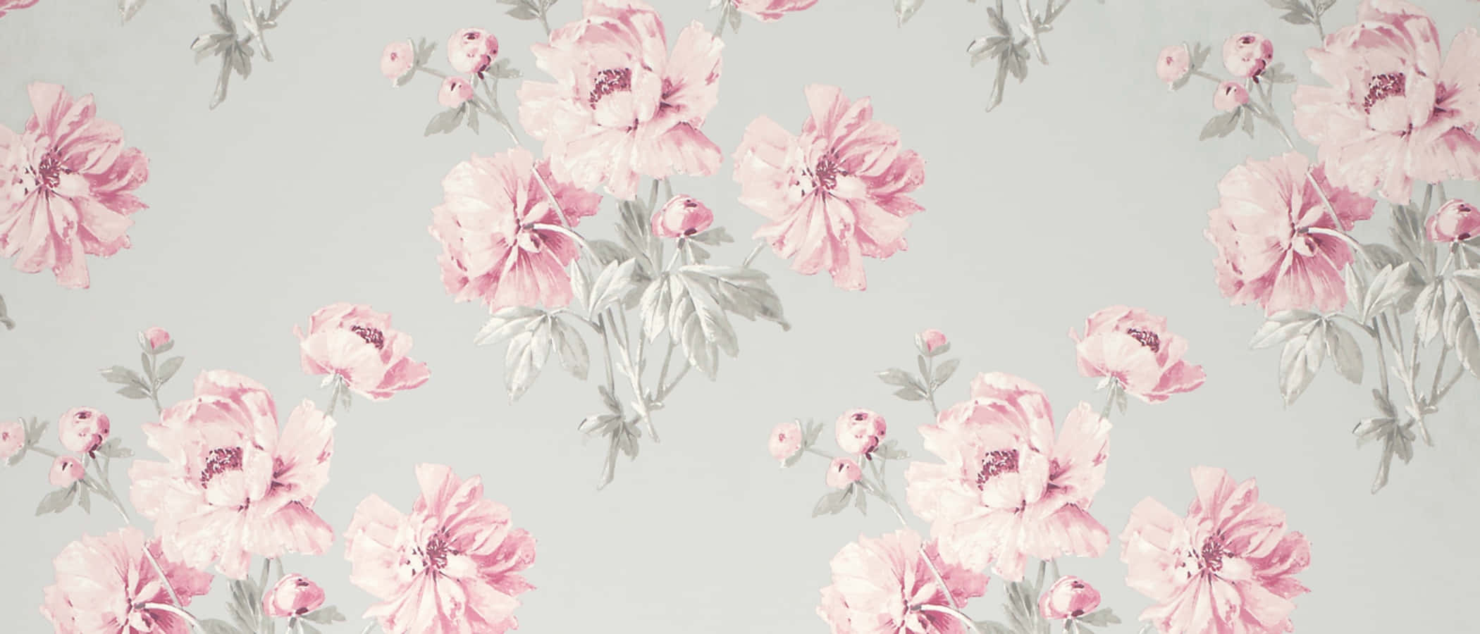 Gray and Pink, soft pink peonies, delicate gray-green leaves, Full HD Desktop Wallpaper