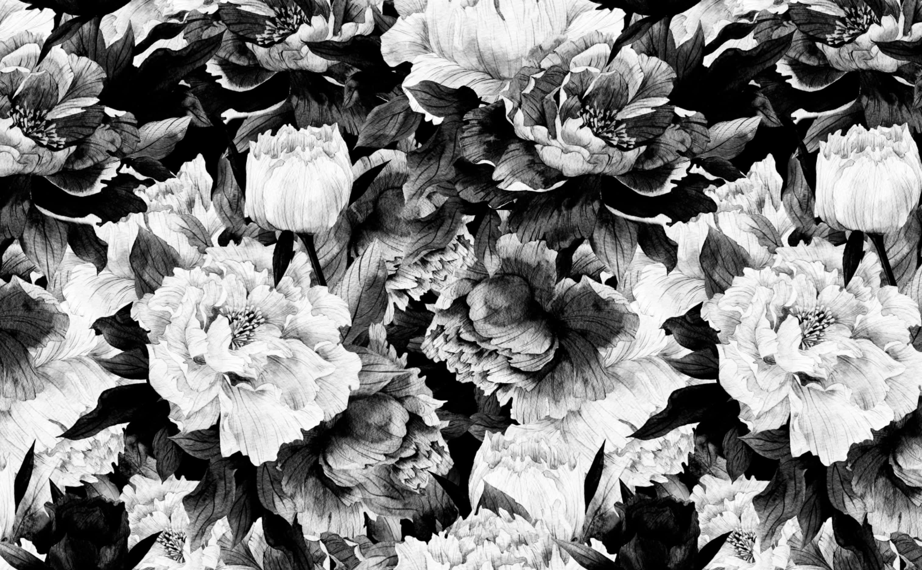monochrome floral pattern, peonies, leaves, 2K Desktop Wallpaper