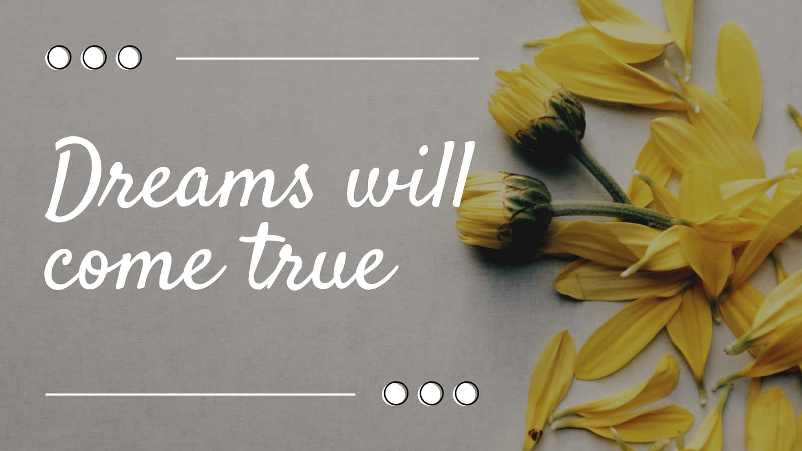 Gray And Yellow, yellow dandelion flowers, elegant white text, HD Desktop Wallpaper