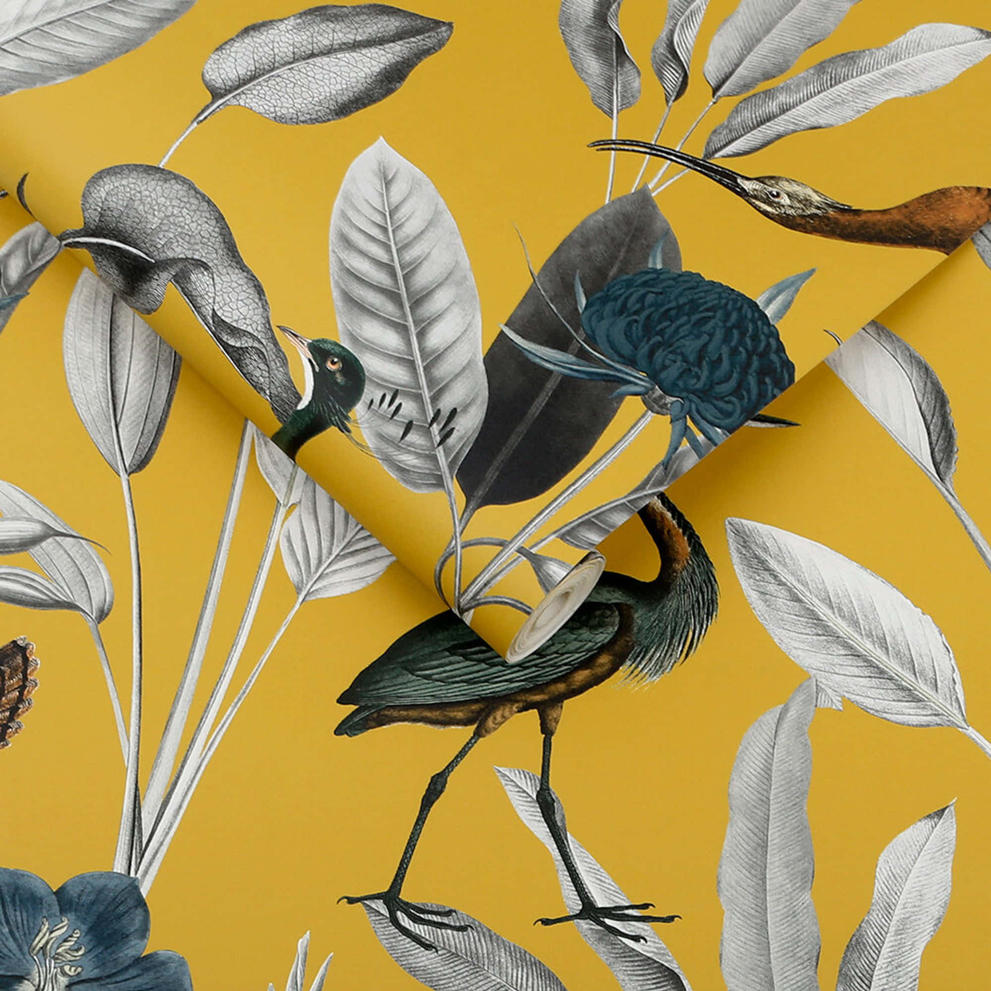 mustard, exotic birds, tropical leaves, Full HD Desktop Wallpaper