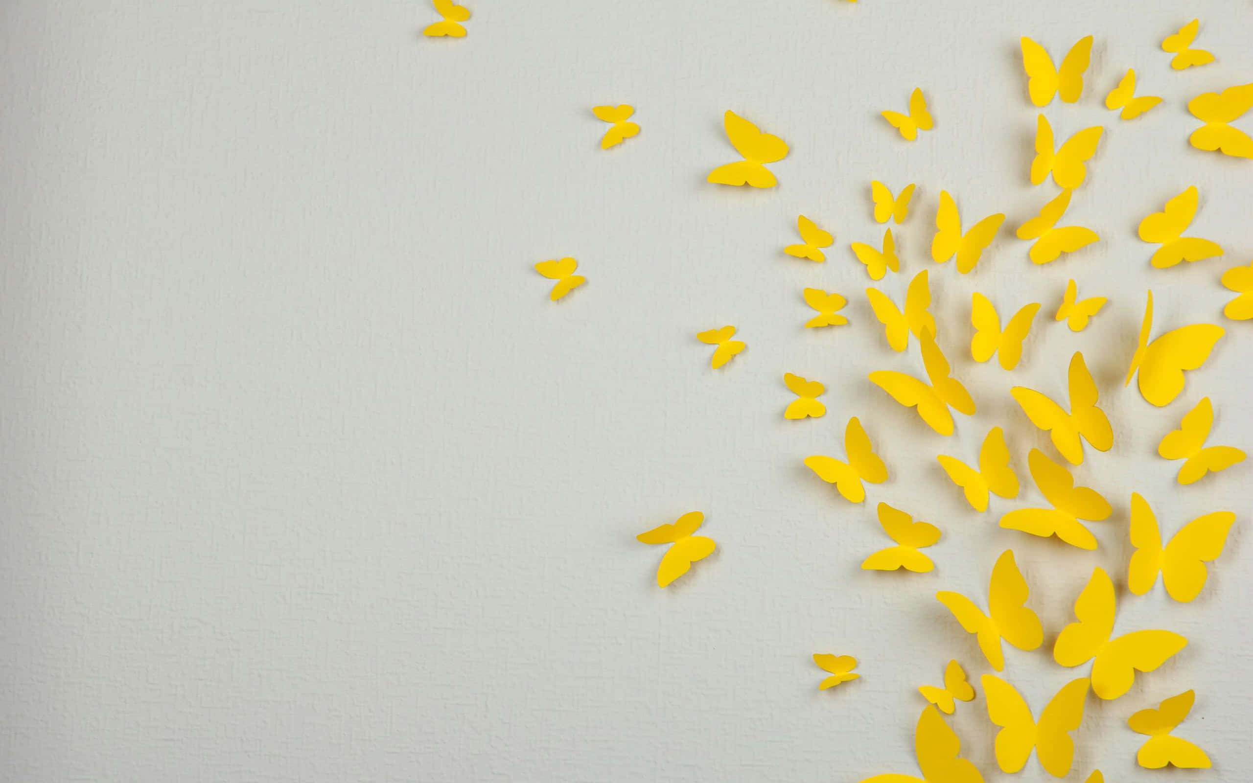 gray and yellow, bright yellow, paper butterflies, 2K Desktop Wallpaper