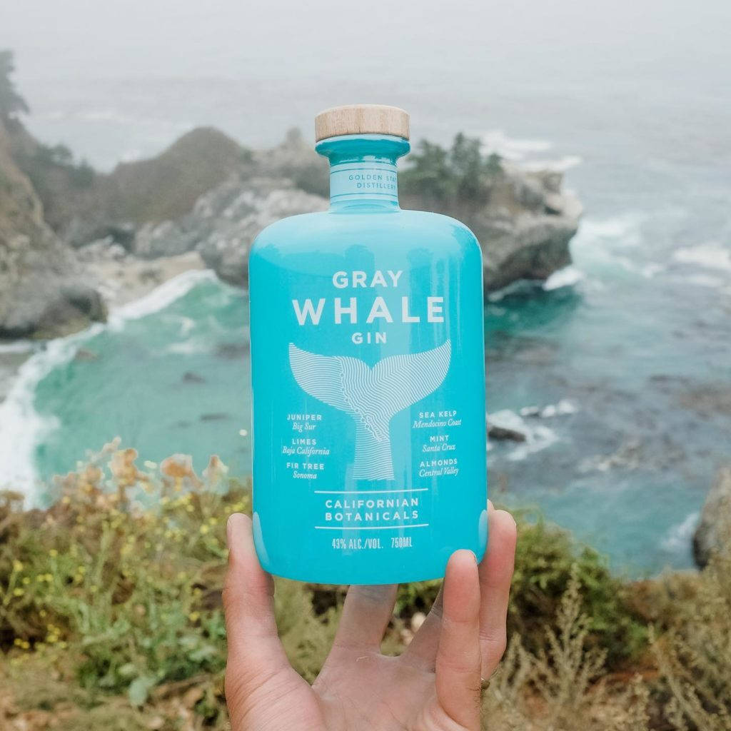 Gray Whale Gin, bright blue, misty coastal cliff, SD Desktop Wallpaper
