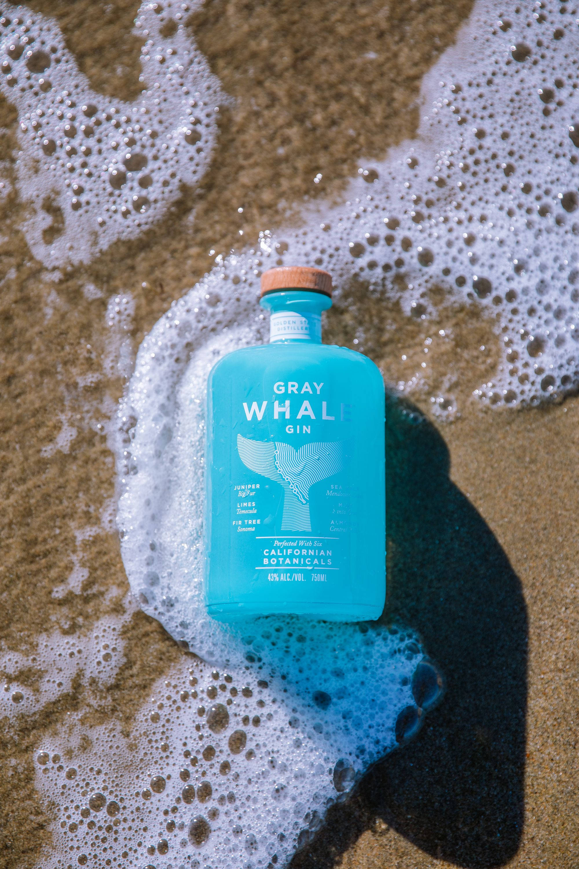 Gray Whale Gin, turquoise, ocean surf, 2K Phone Wallpaper