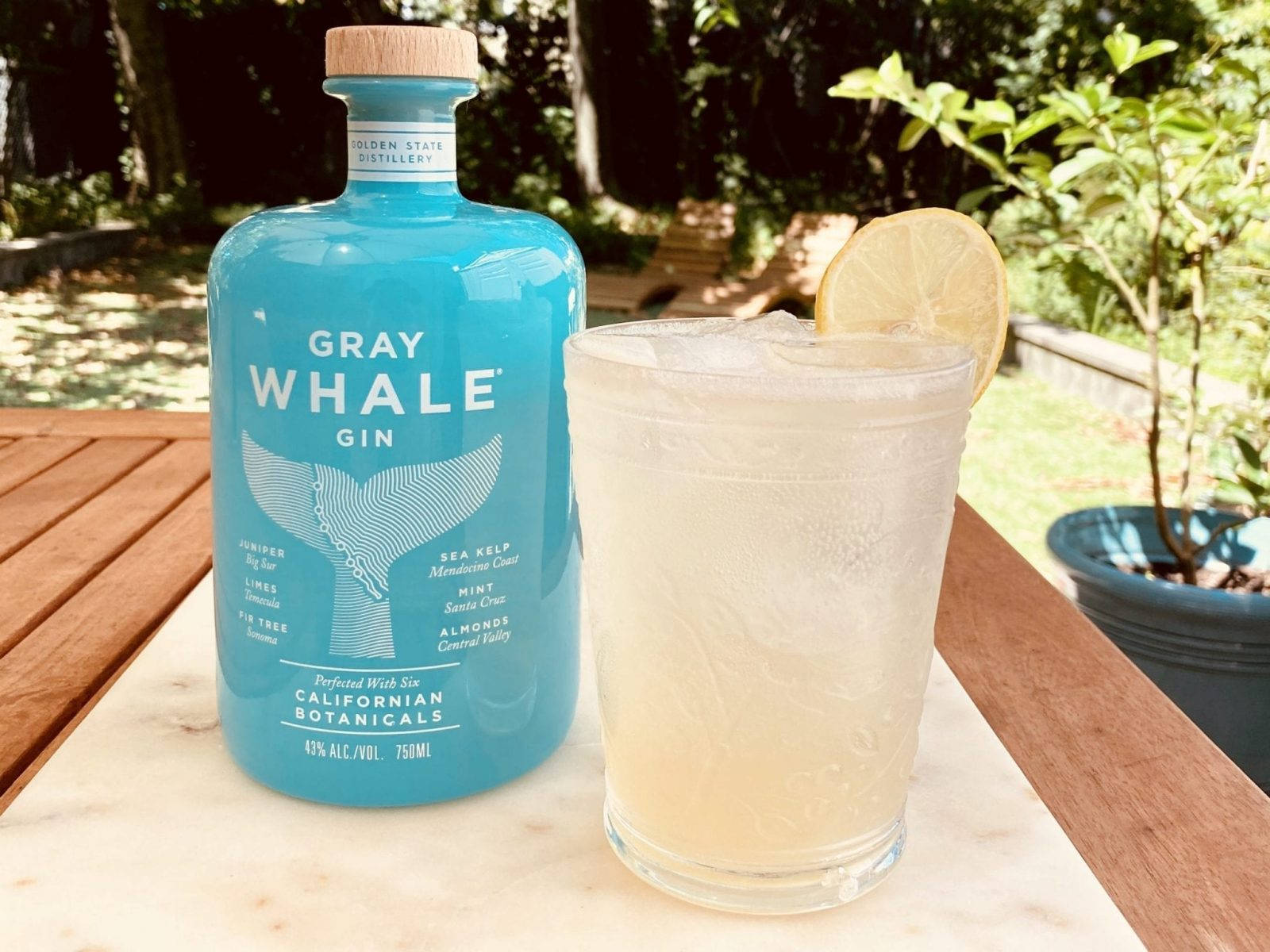Gray Whale Gin, vibrant blue gin bottle, frosty gin cocktail, HD Desktop Wallpaper