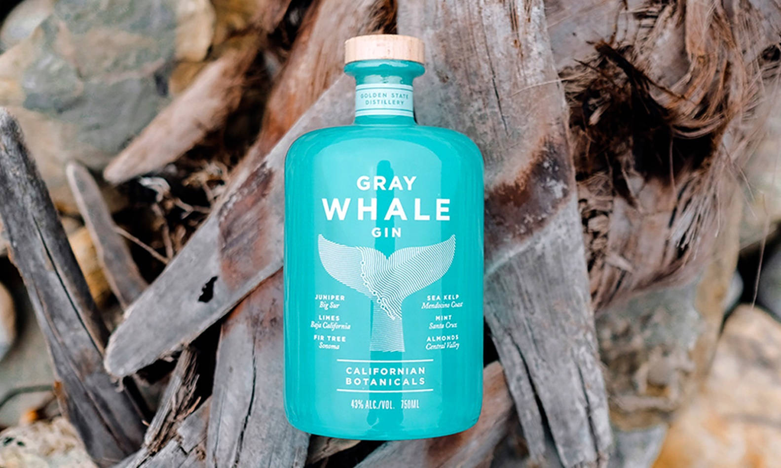 Gray Whale Gin, turquoise, whale tail design, HD Desktop Wallpaper